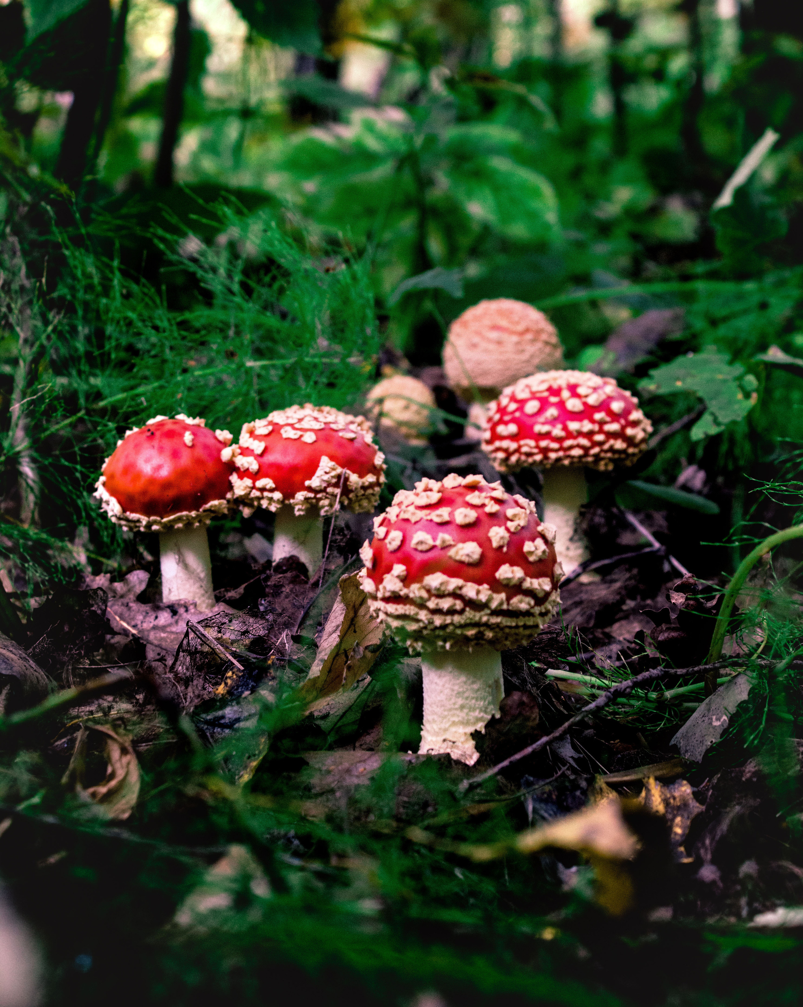 Природное. Обо всём