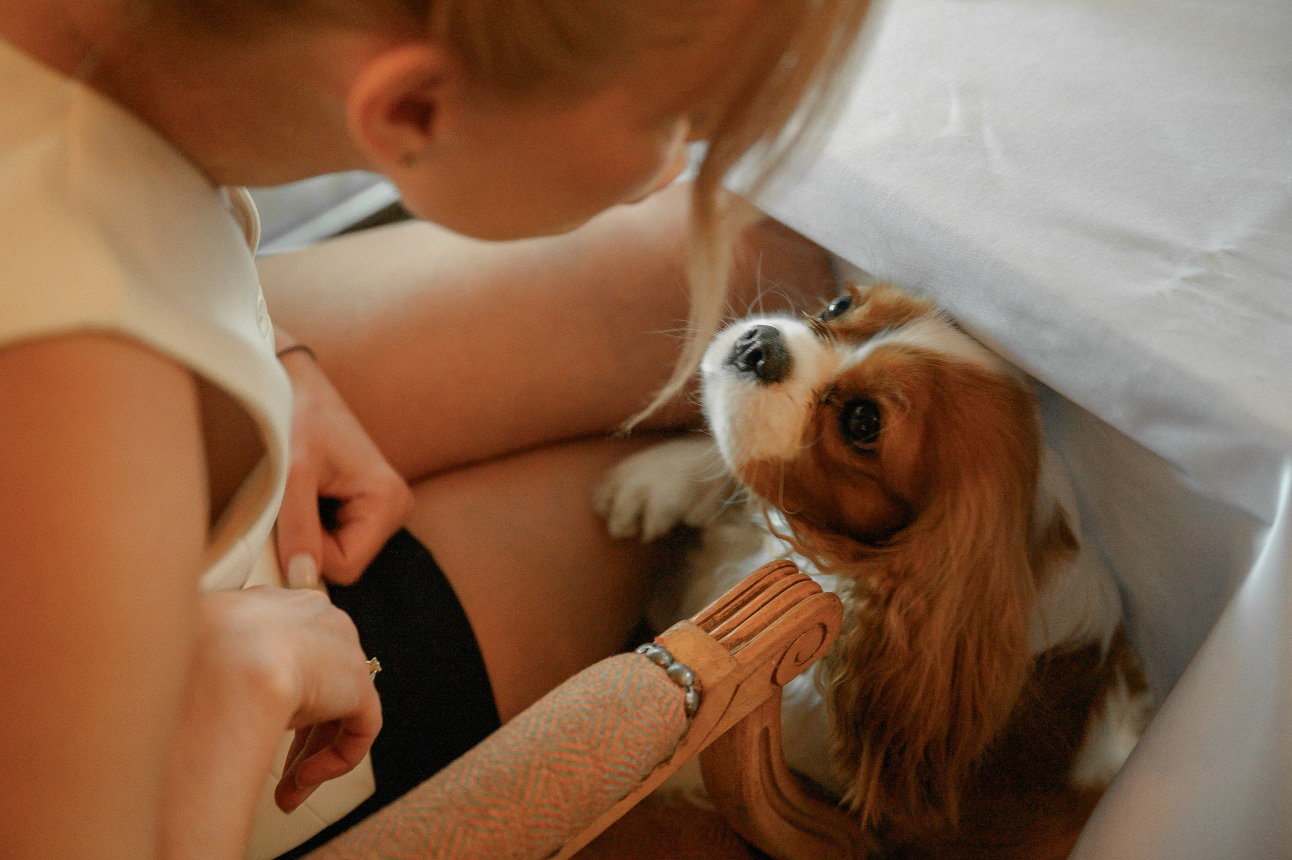 Свадебная вечеринка Ольги и Константина в ресторане Michel (Мишель). Semerlina.ru