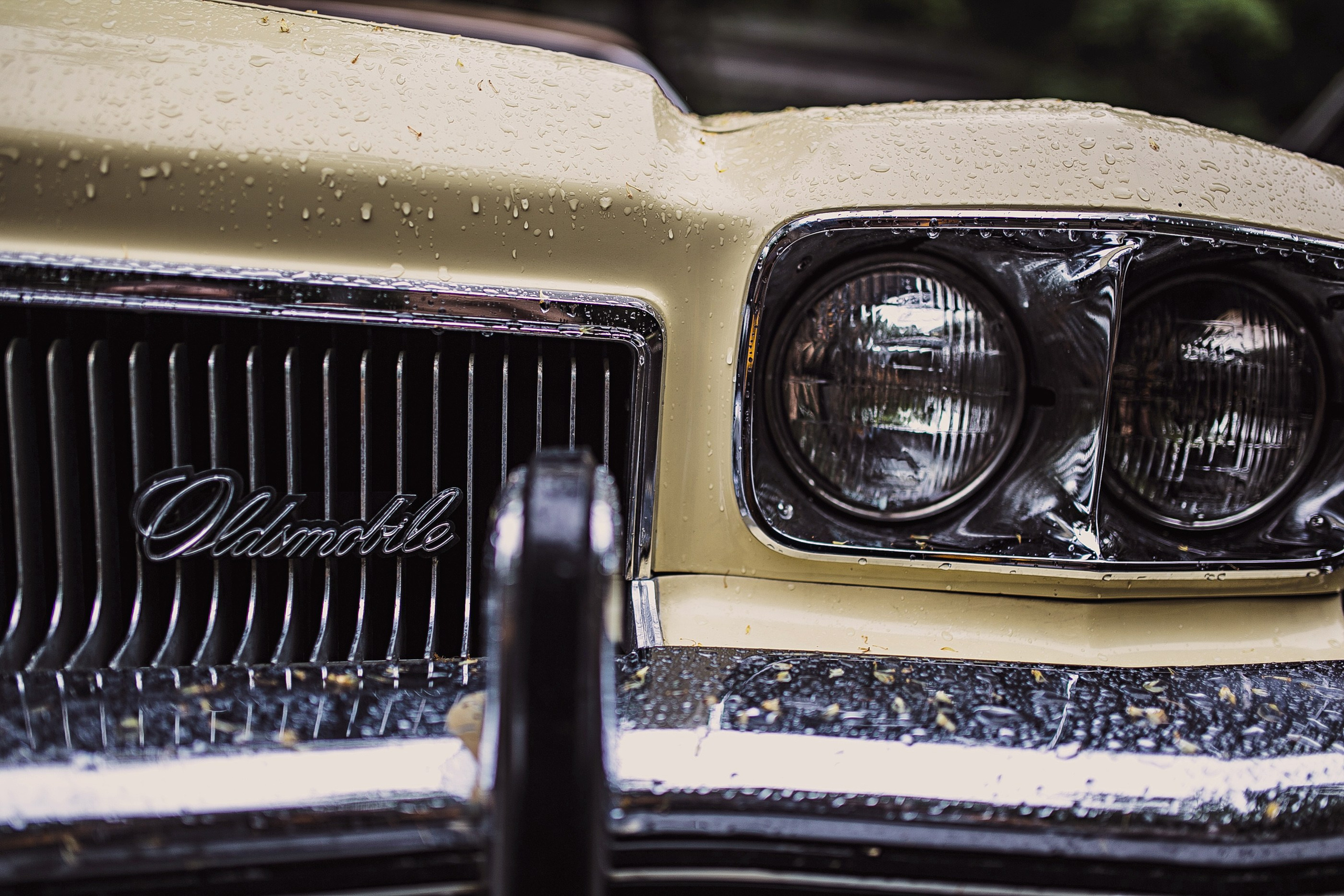 Выставка ретро автомобилей. Сокольники. Семейный и репортажной фотограф в Красноярске и Москве Виктор Бабинцев
