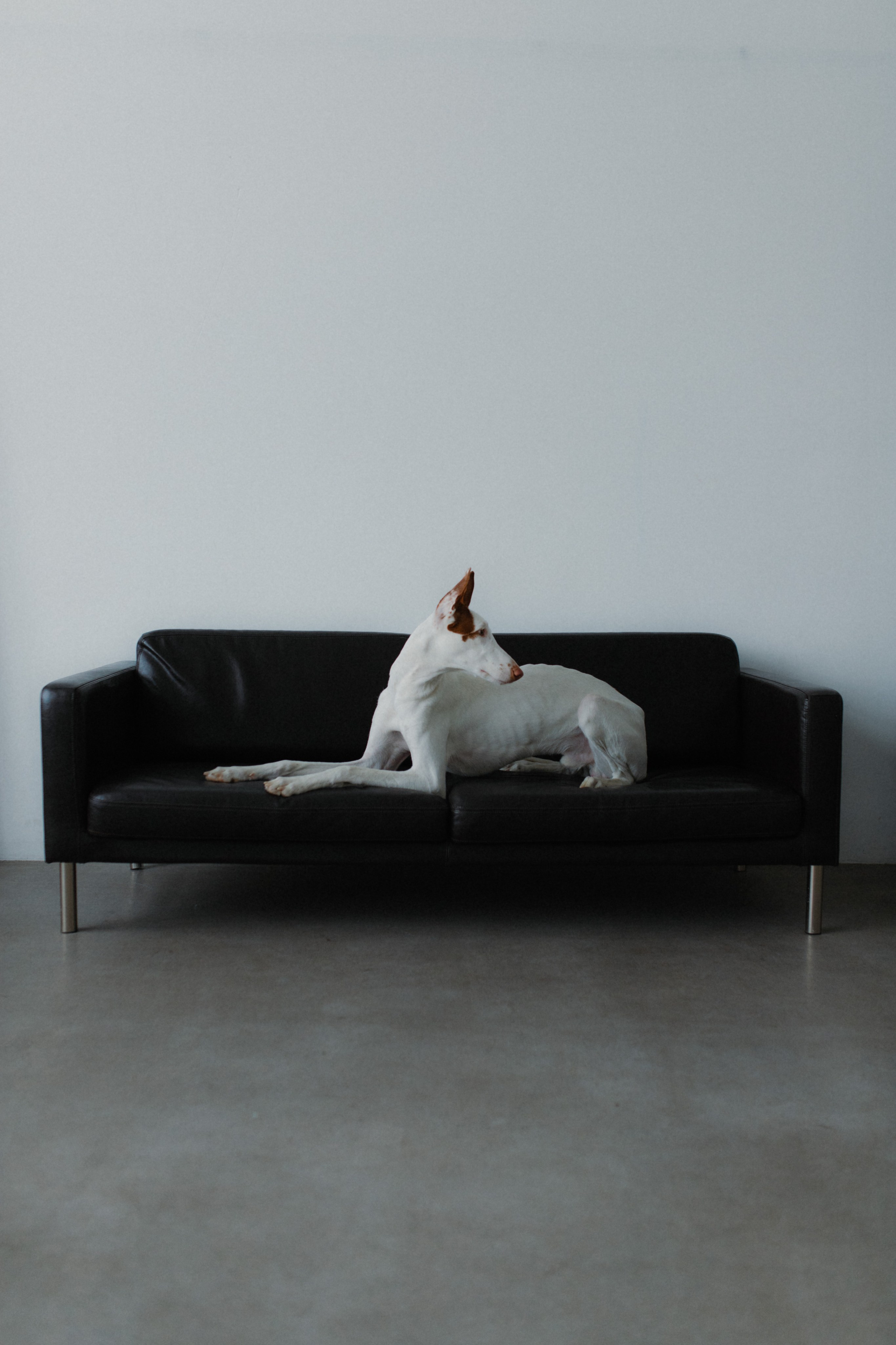 Lera Vaytova. Фотограф Москва Дмитрий Курасов