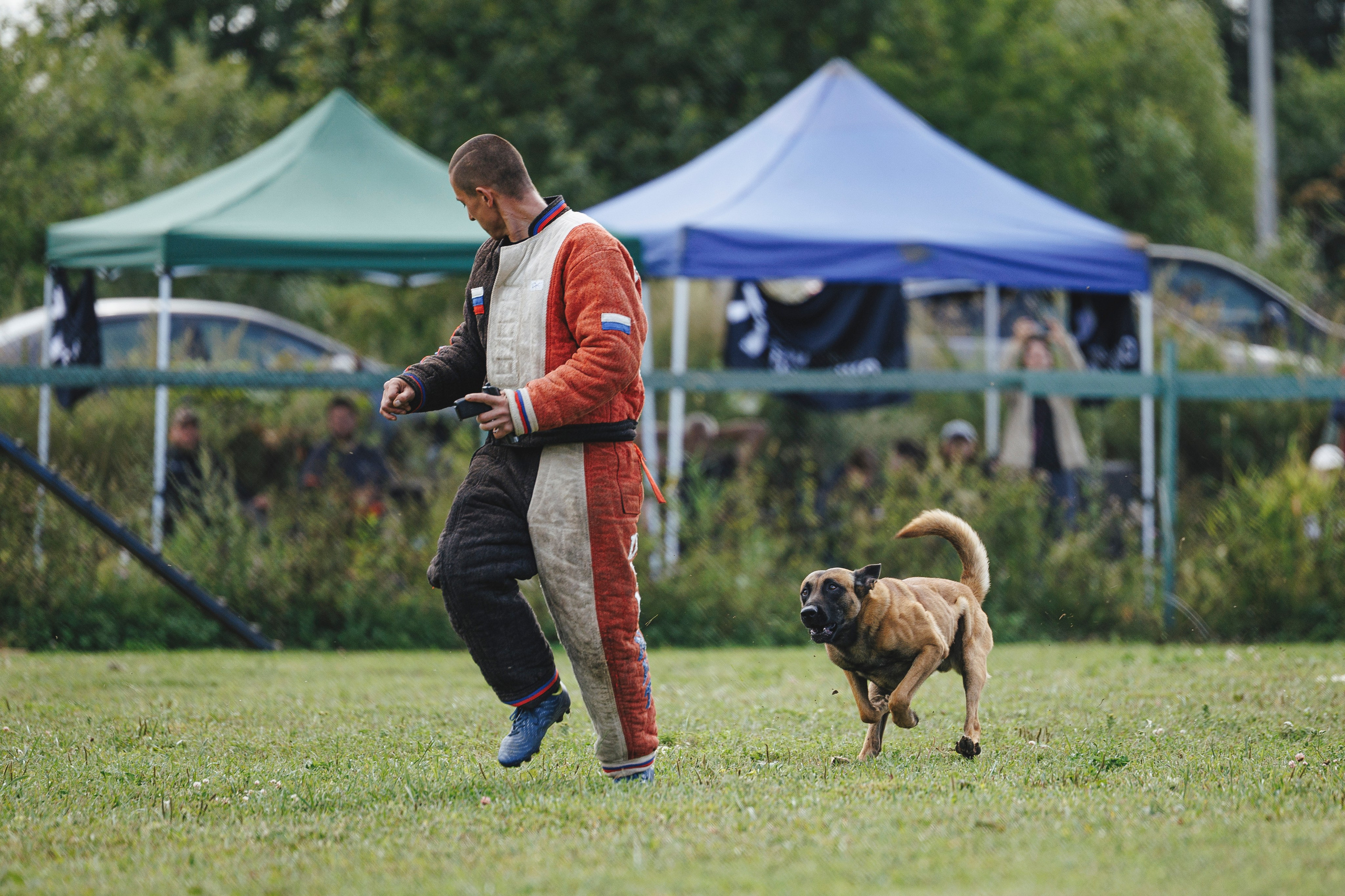 08.08.25-10.08.25 ЧР по мондьорингу г. Вологда. Фотограф-анималист Анна Маринич