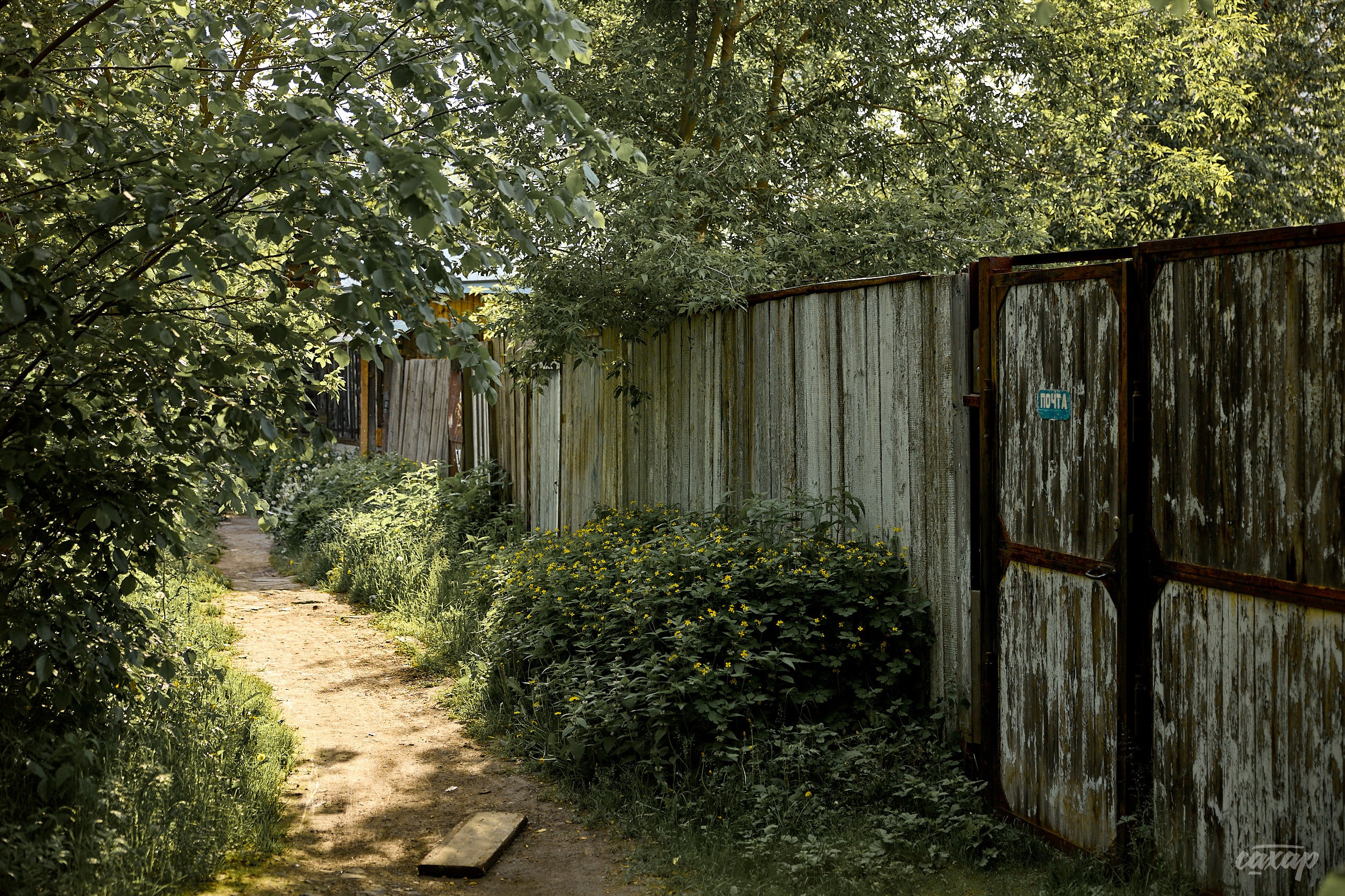 Что вижу, то и пою! от 2024_06_11. Профессиональный фотограф в Екатеринбурге Юра Сахар