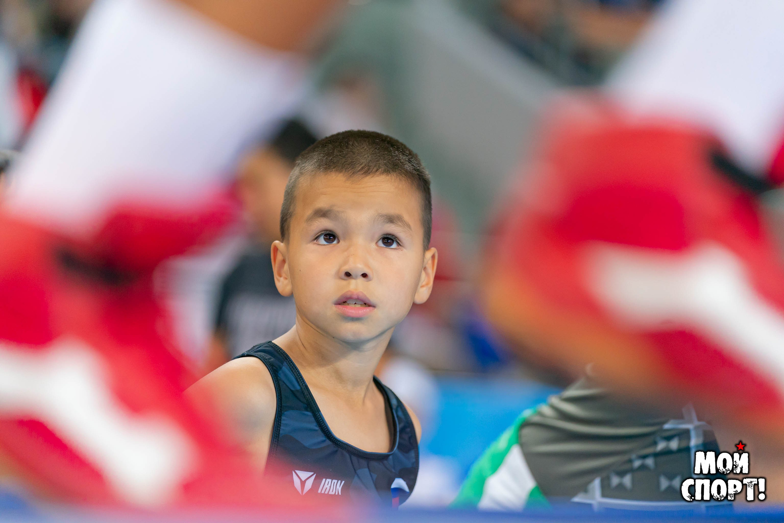 Соревнования по вольной борьбе в честь П. П. Пинигина. Студия «Мой Спорт!» — все о спорте в Якутии