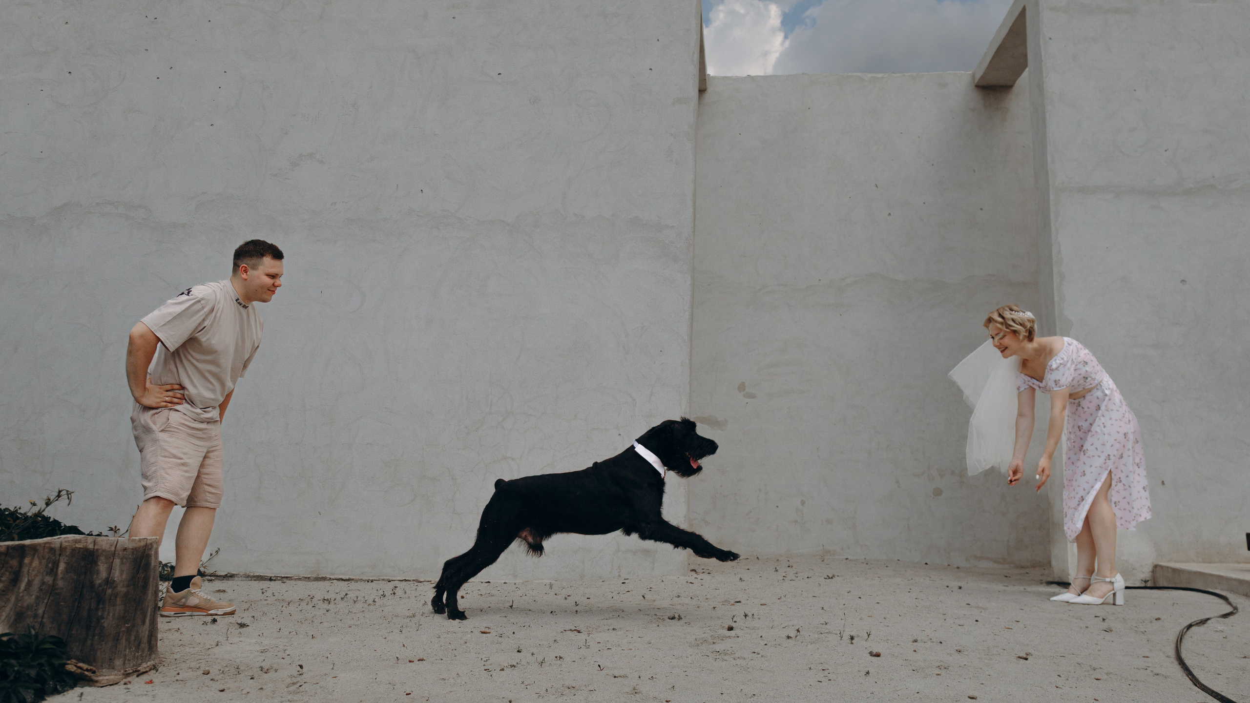 Denis&Dasha. Свадебный фотограф в Санкт-Петербурге и Москве Андрей Чернов