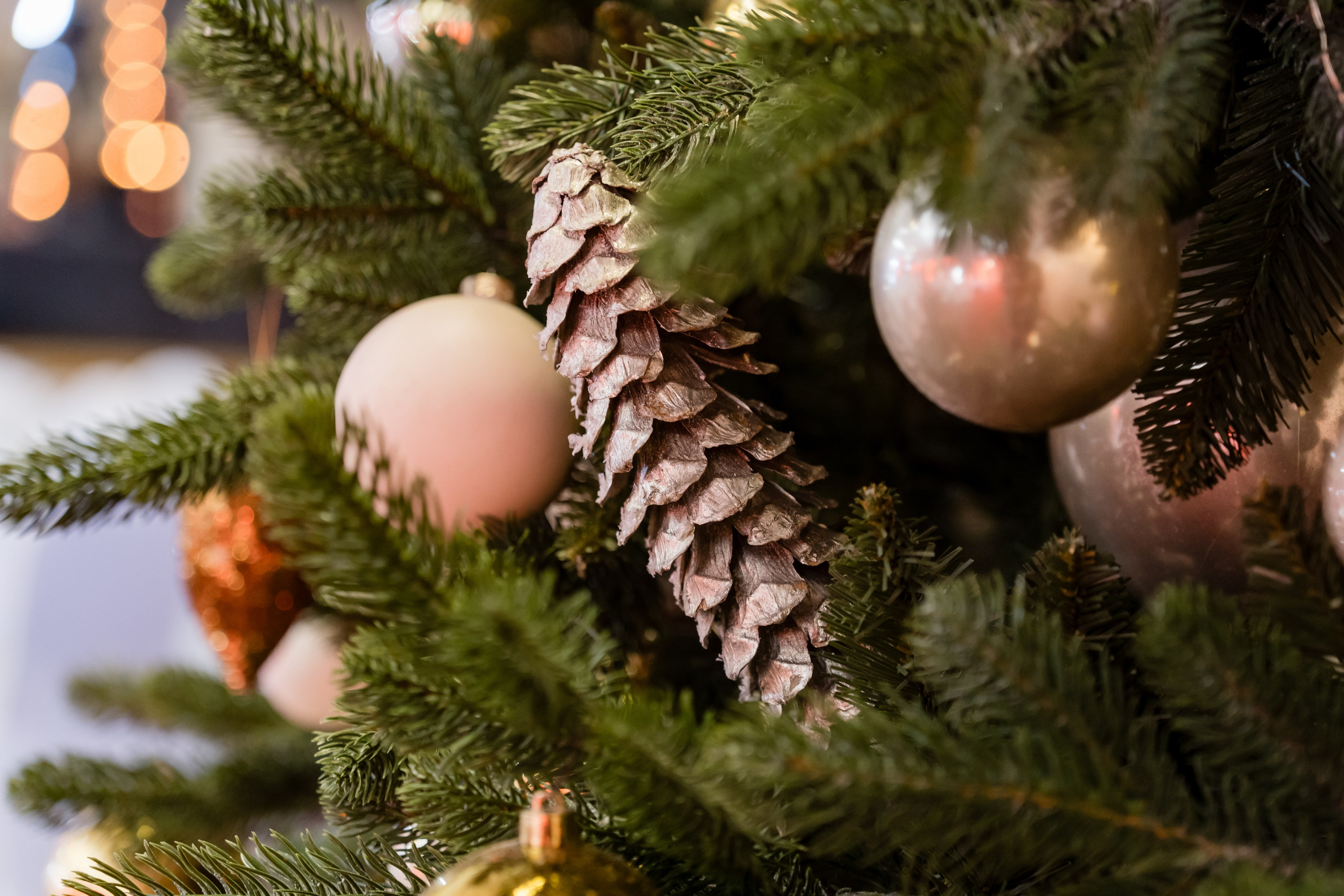 Новый год с ВТБ. VOLGA. 15.12.2024