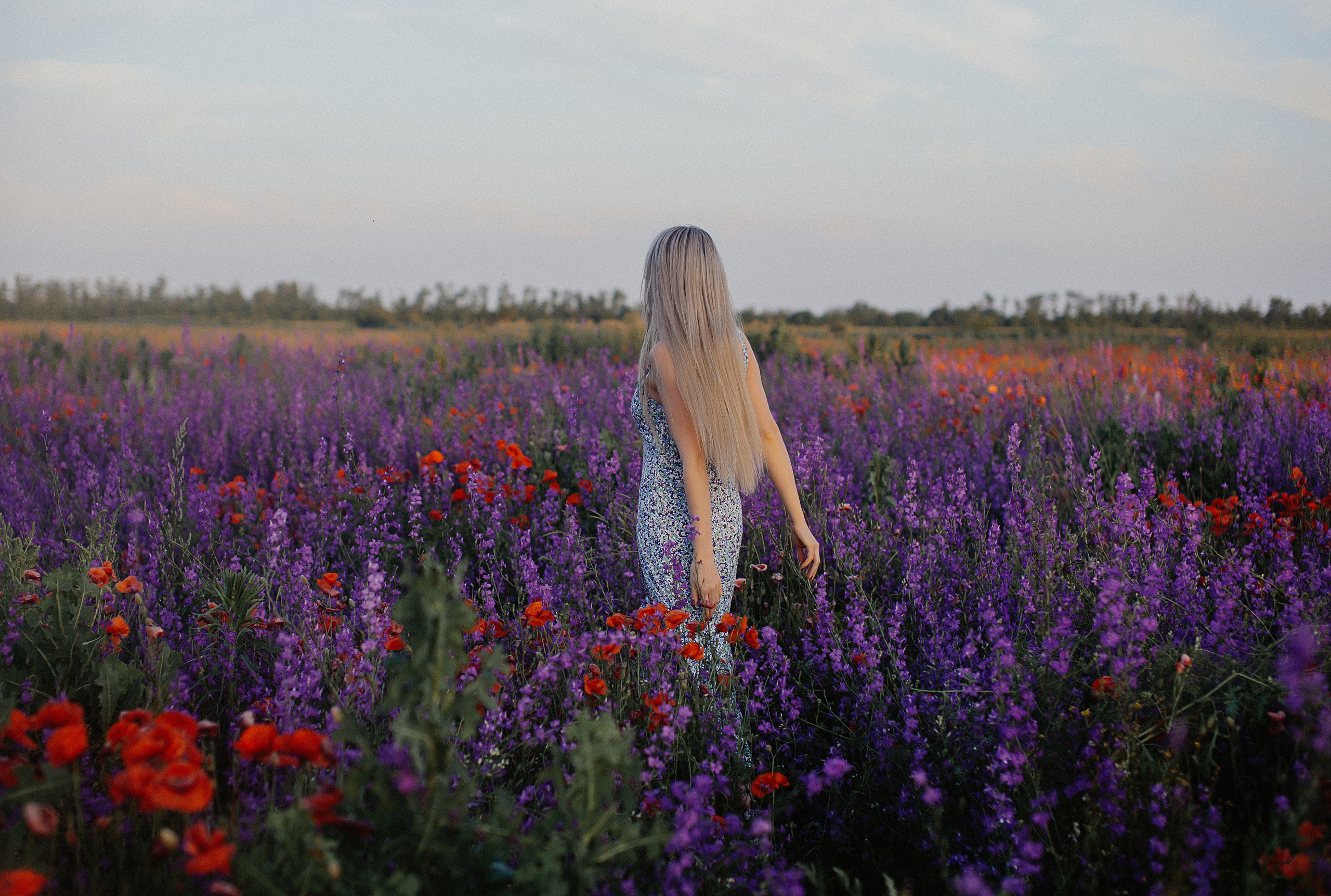 Лето. Свадебный и семейный фотограф/видеограф в Краснодаре Наталья Осинская