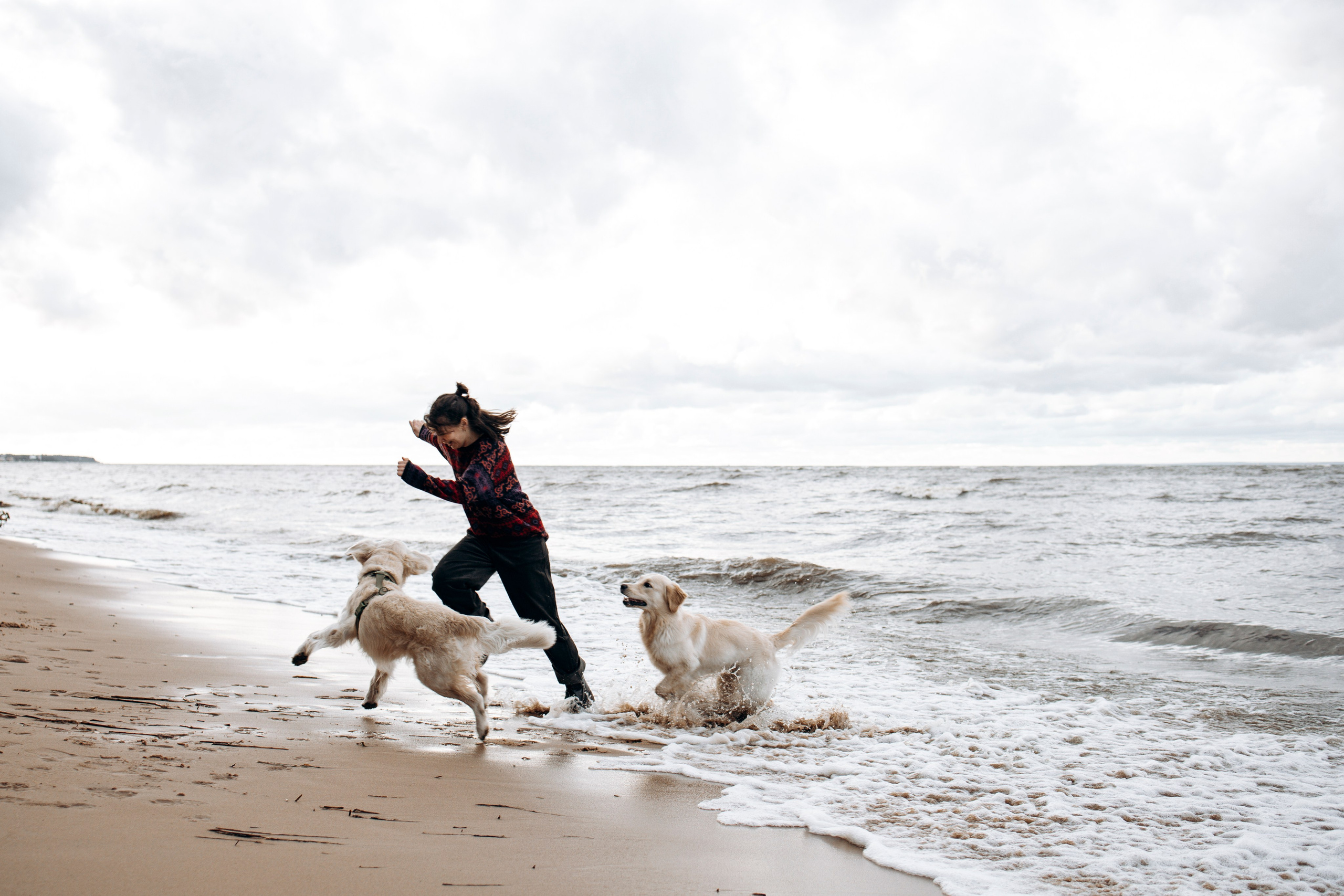 Фотограф-анималист в Санкт-Петеребурге Титова Алиса