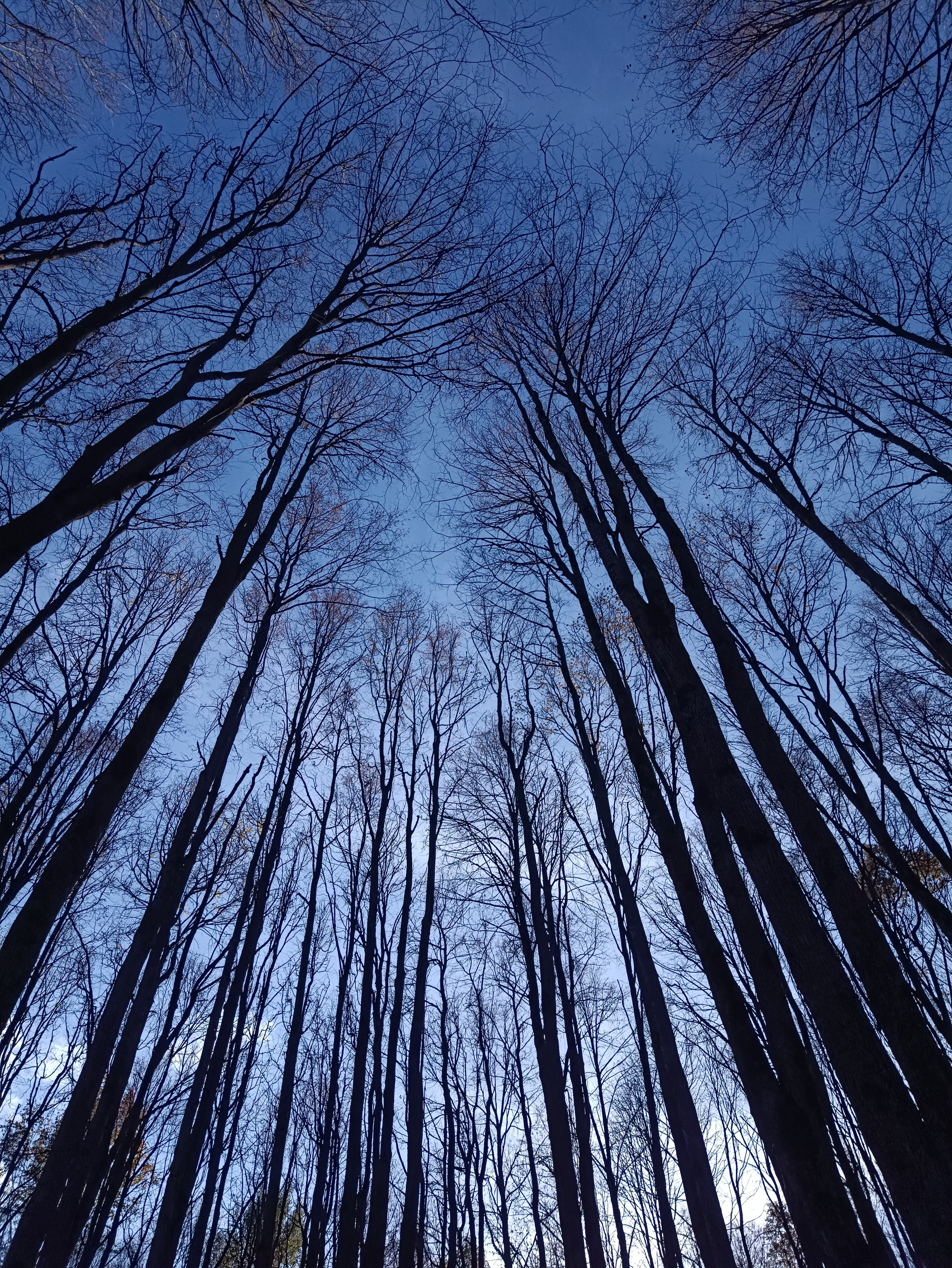 Фотограф | Москва