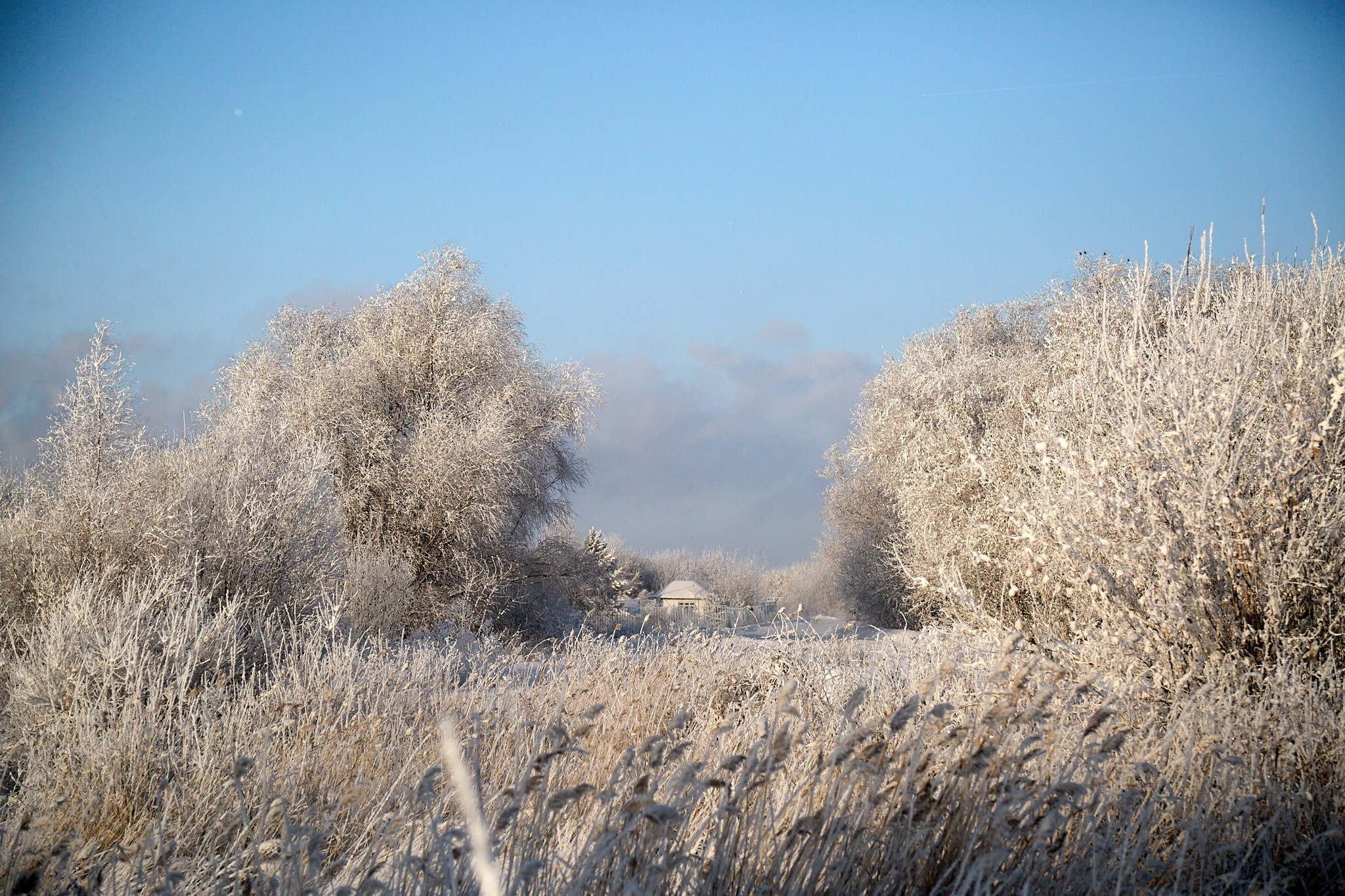 Предновогодняя сказка. Фотограф Омск | Александр Вандеров
