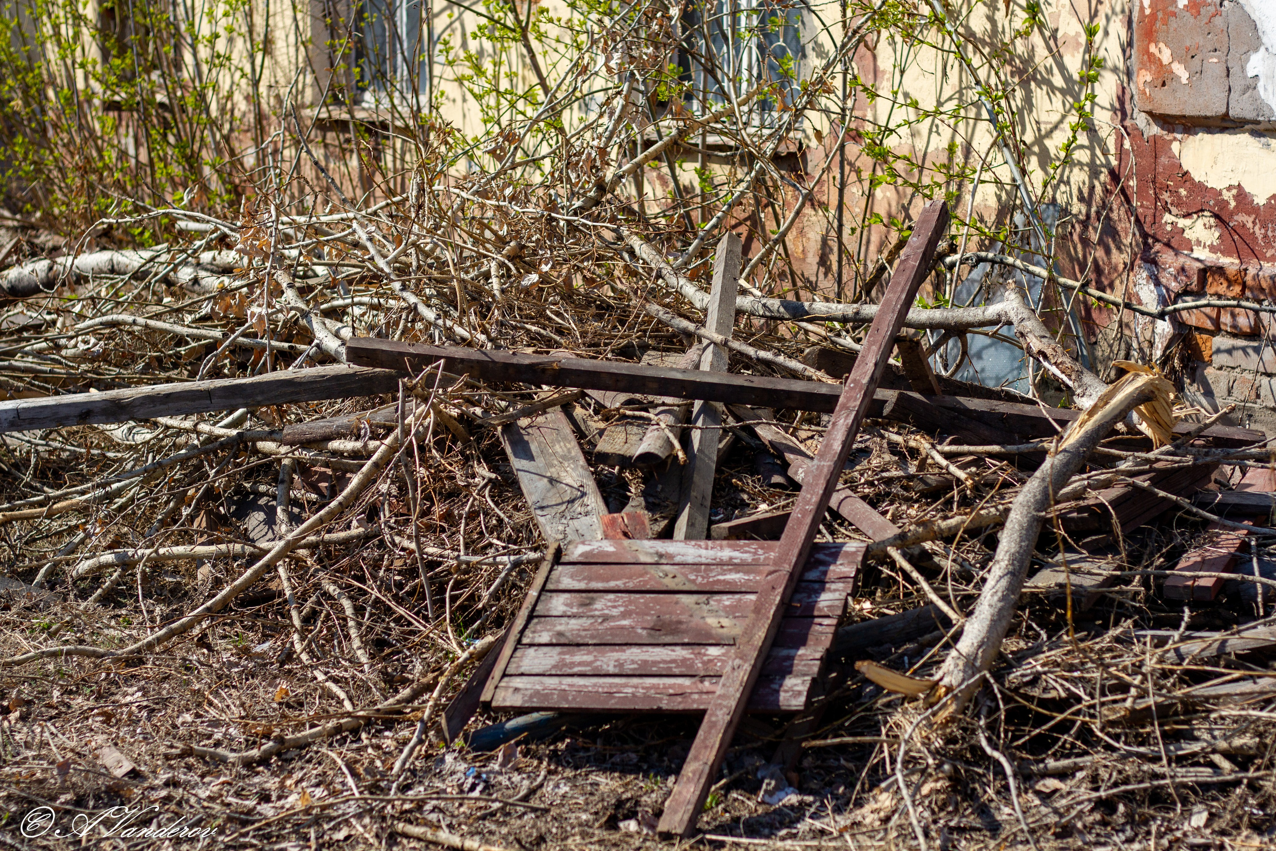 Омск 2023. Фотограф Омск | Александр Вандеров