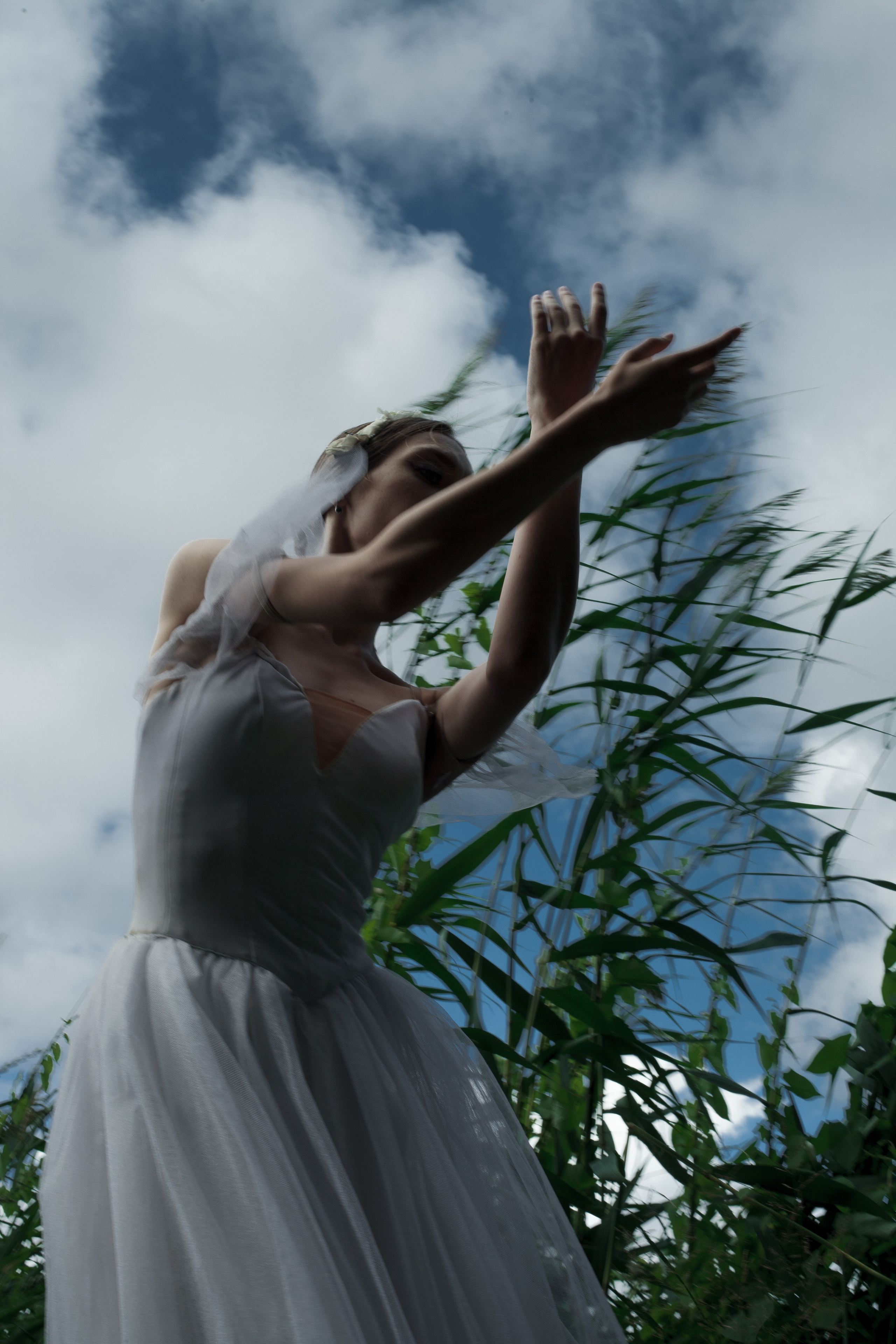 Жизель. Психолог с фотоаппаратом Зимина Оксана