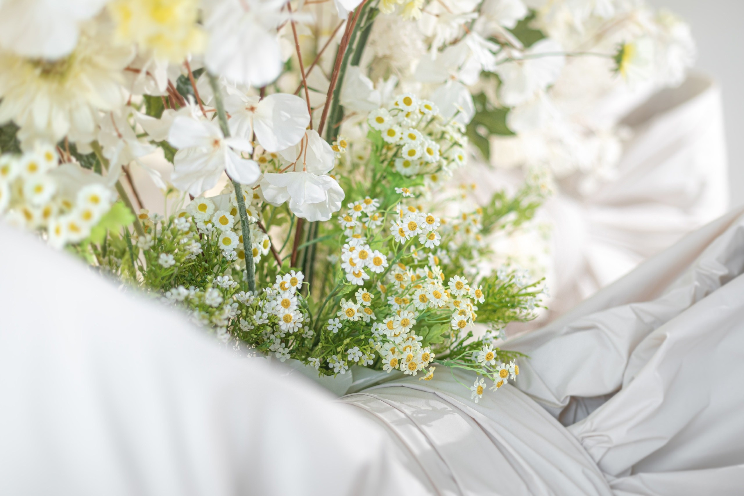 Феникс. Фотограф Тверь. Свадебные, семейные, индивидуальные фотосессии