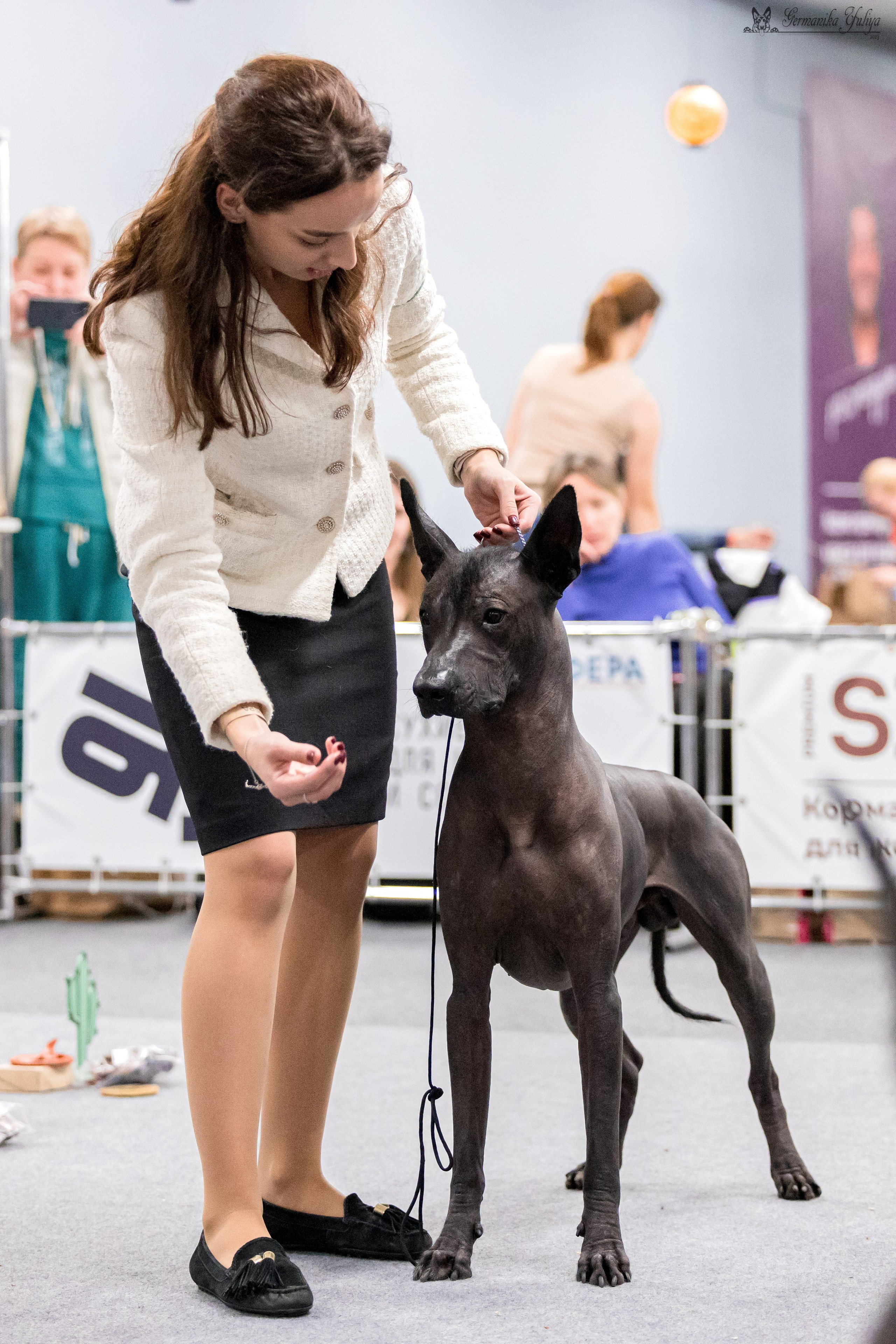 Сфера 29.10,Крокус 4.11,Сфера 12.11.2023. Фотограф-анималист Юлия Германика