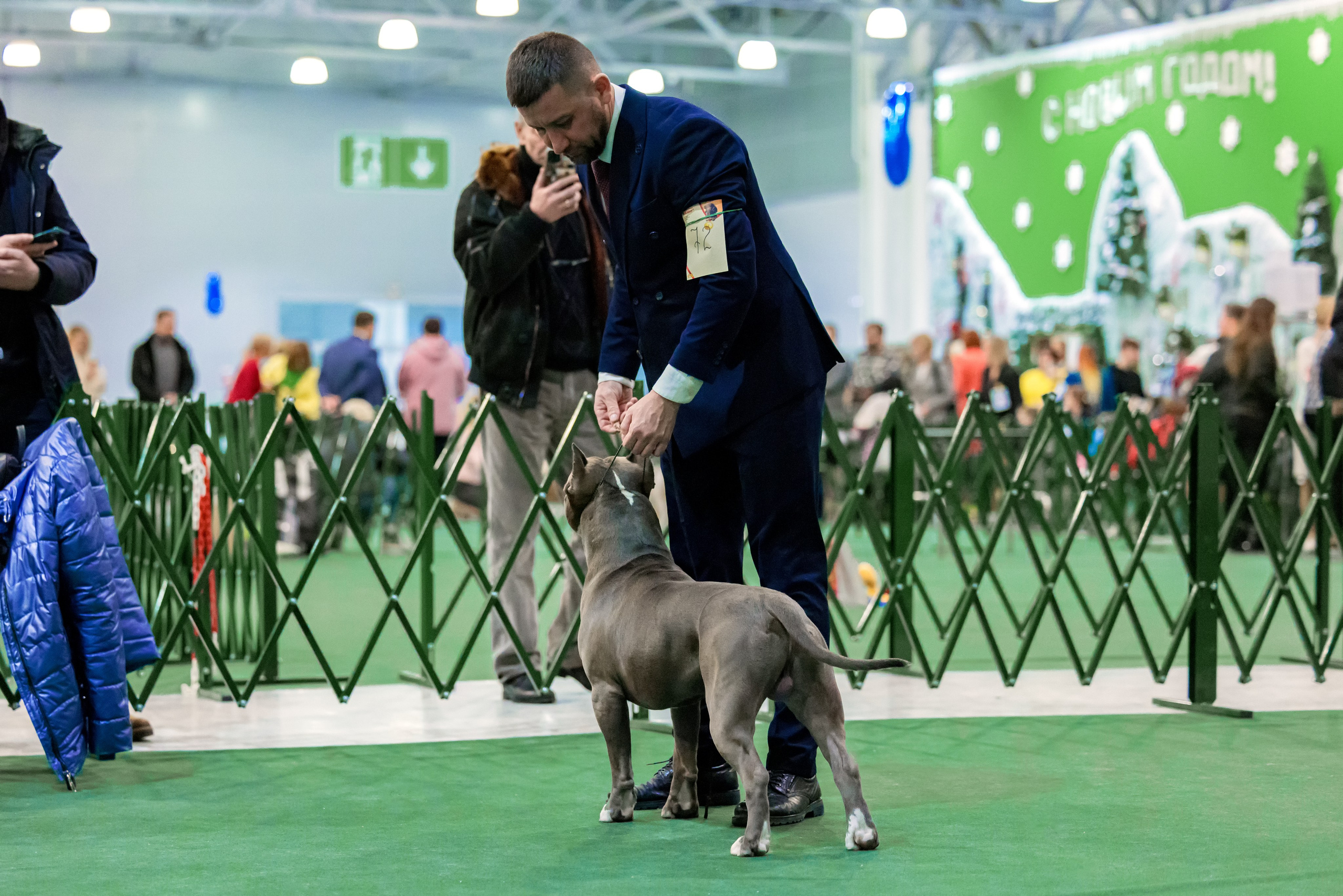 Крокус 3,9 и 10.12.2023. Фотограф-анималист Юлия Германика