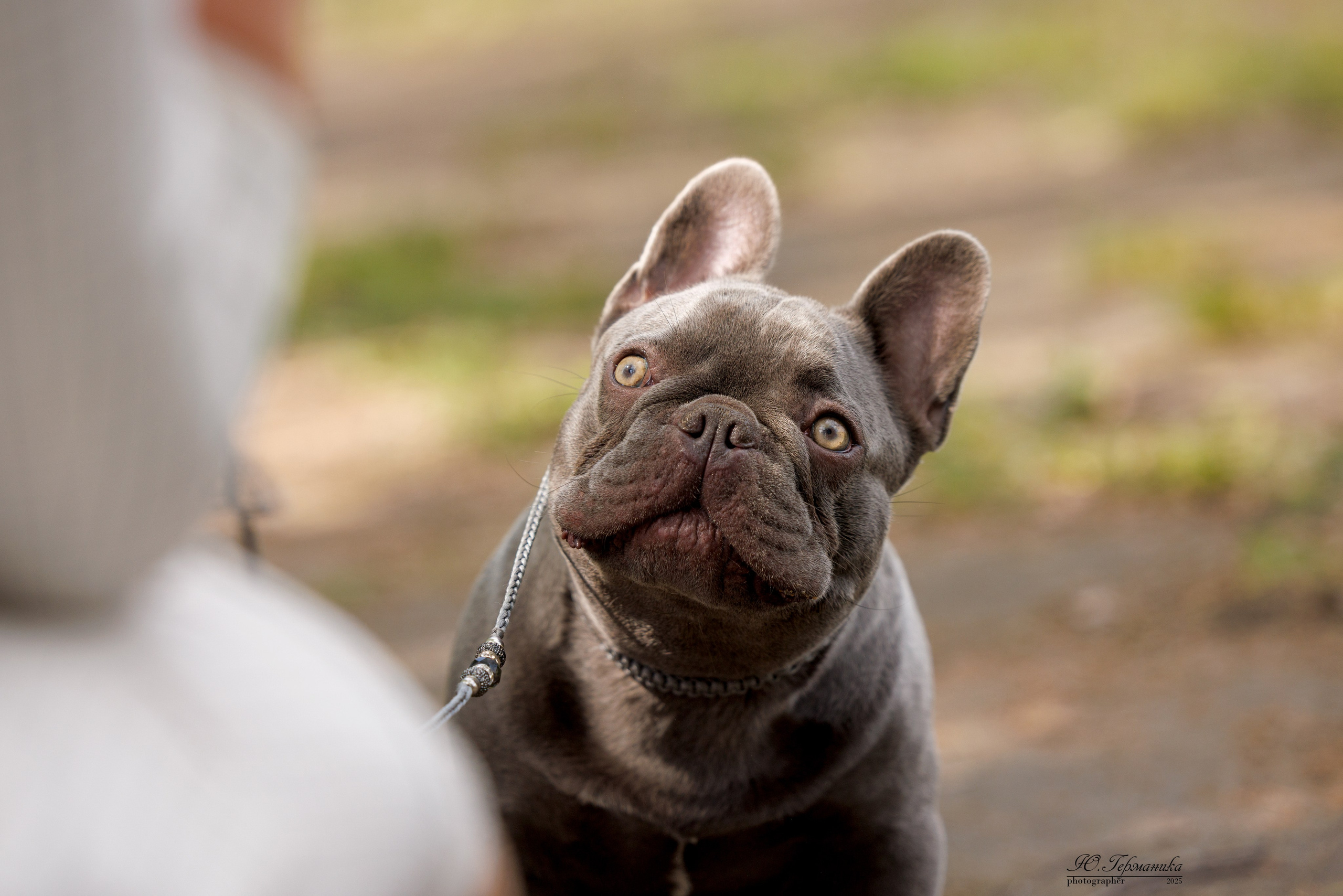 Тверь 24.05.2025. Фотограф-анималист Юлия Германика