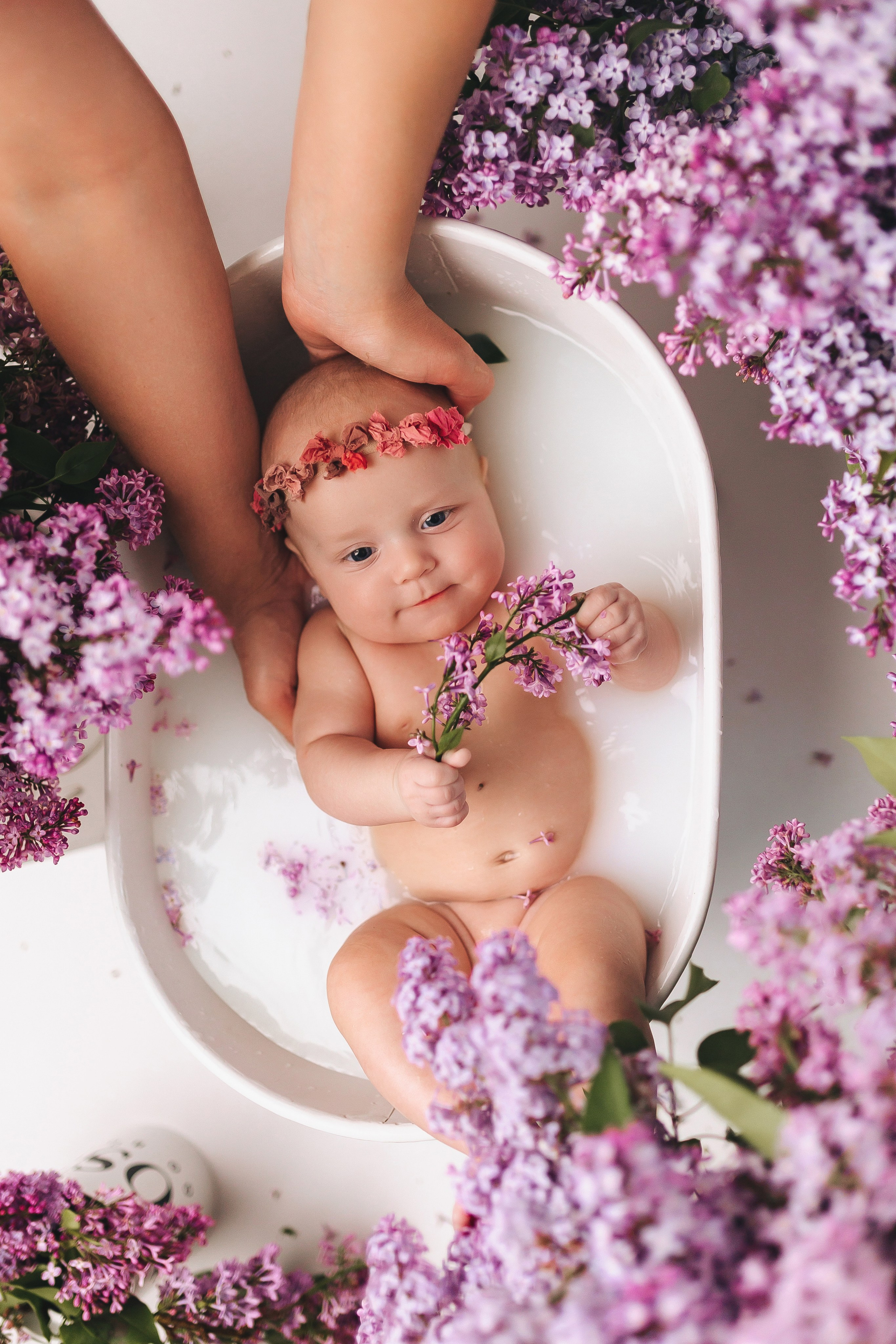 Сирень 2025. Фотограф новорожденных Серпухов, Протвино, Москва I Марина Бурмистрова