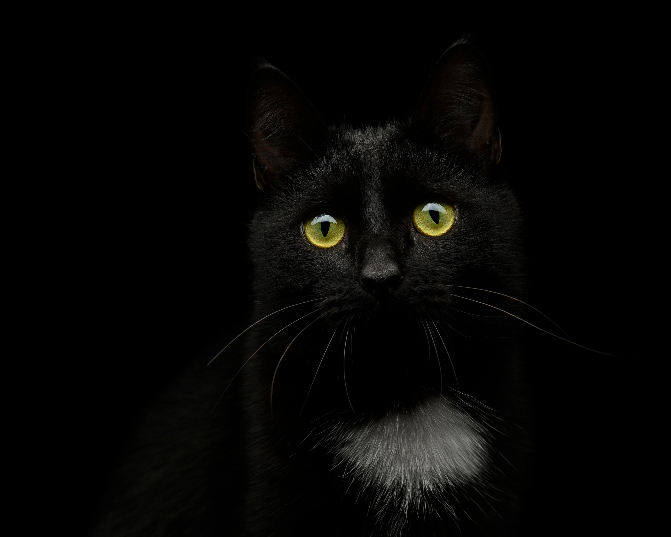 Студийные съемки. Портретный фотограф в Челябинске Катерина Руди