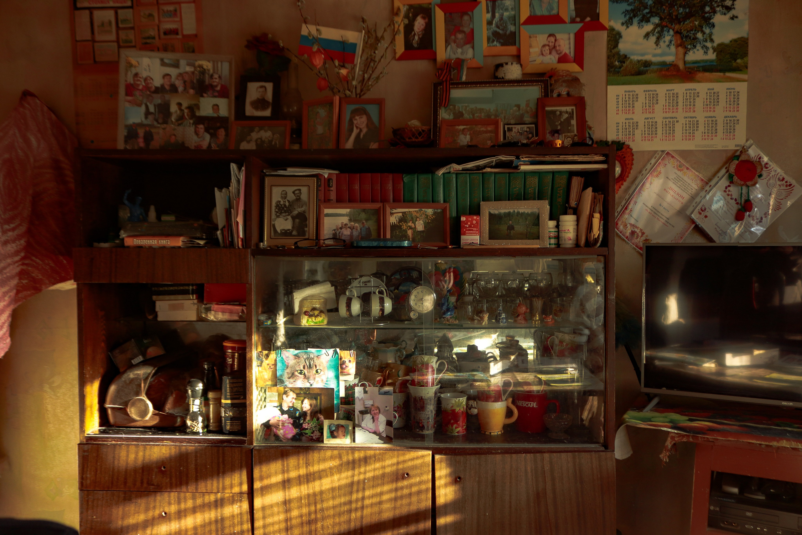 Вепсский ковчег. Полина Щапова БМК235 Медиаком — НИУ ВШЭ