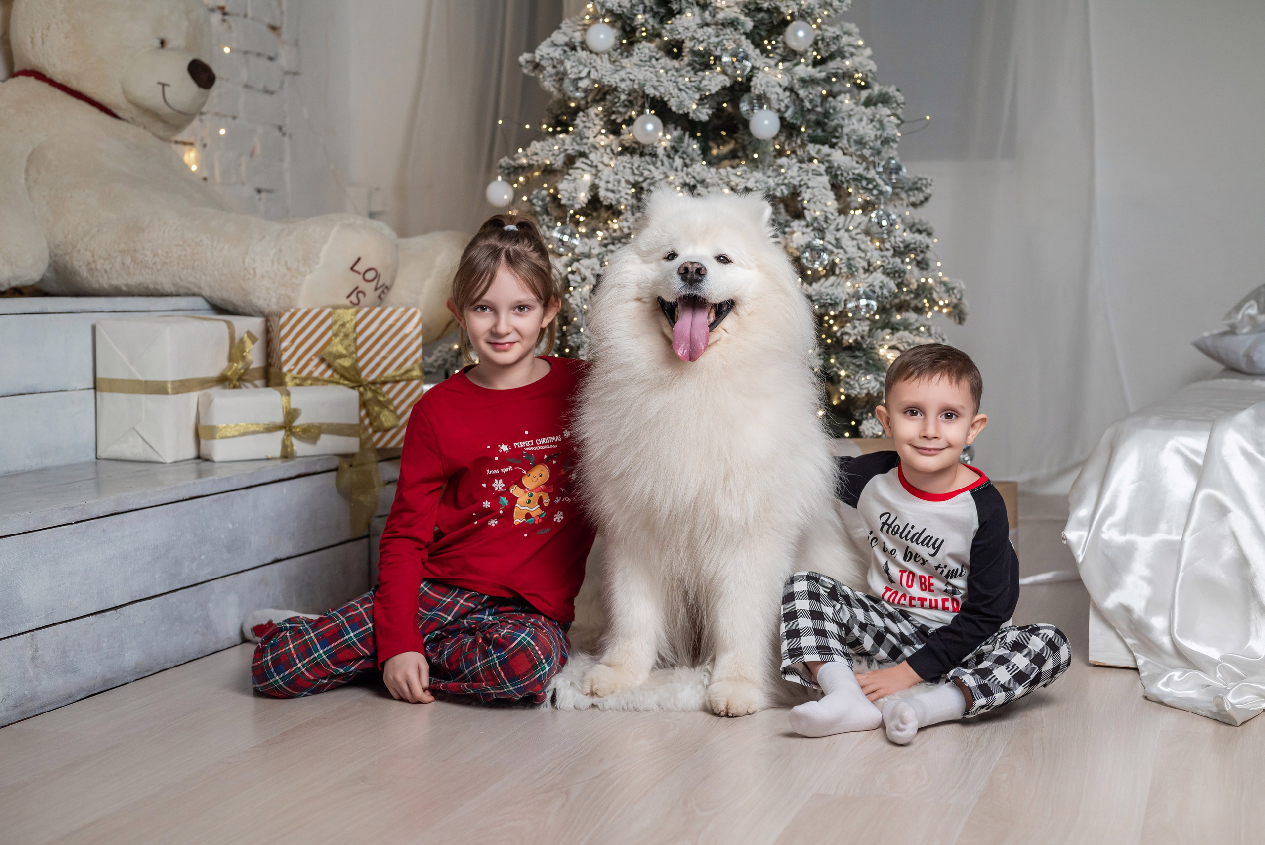 Фотопроект с самоедом 2023 г. Фотограф в городе Салават