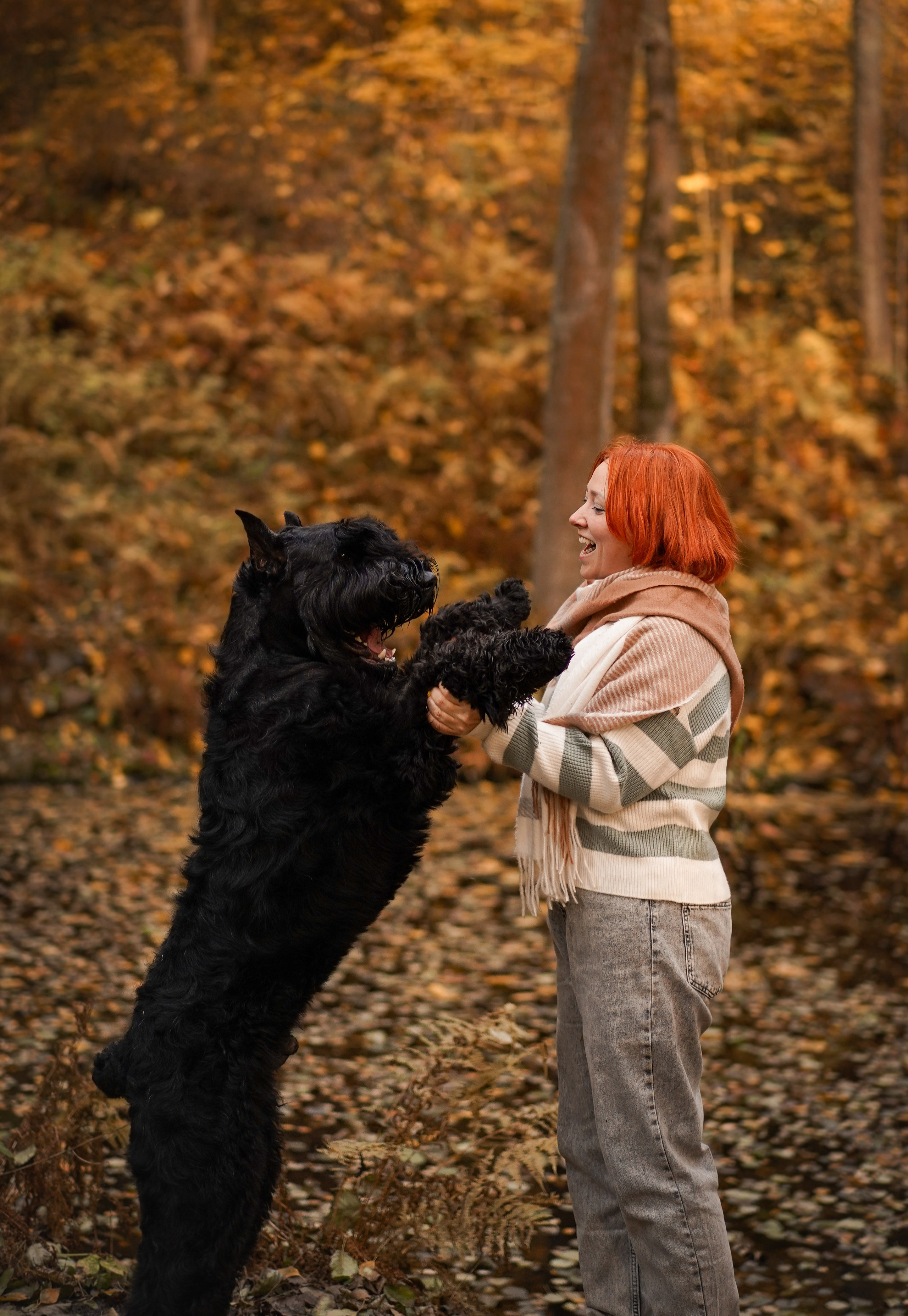 Оля Миша и шнауцеры. Фотограф-анималист в Санкт-Петербурге Яна Мартынова