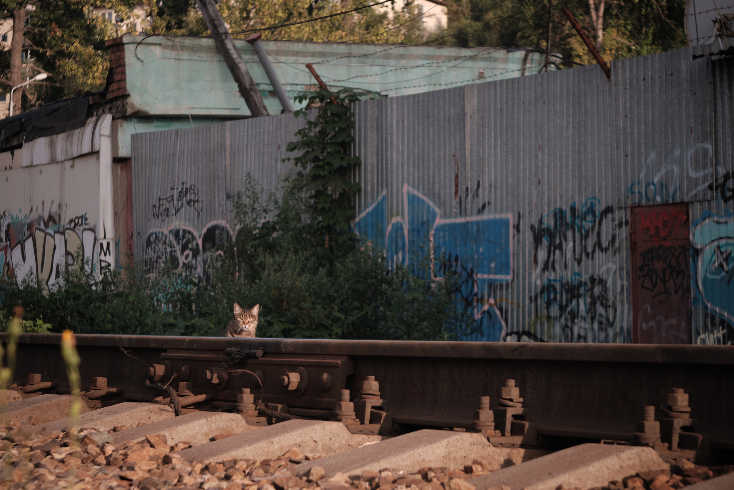 Железная дорога. Фотограф портретный архитектурный лавстори будуар Санкт-Петербург Виктор Иванов