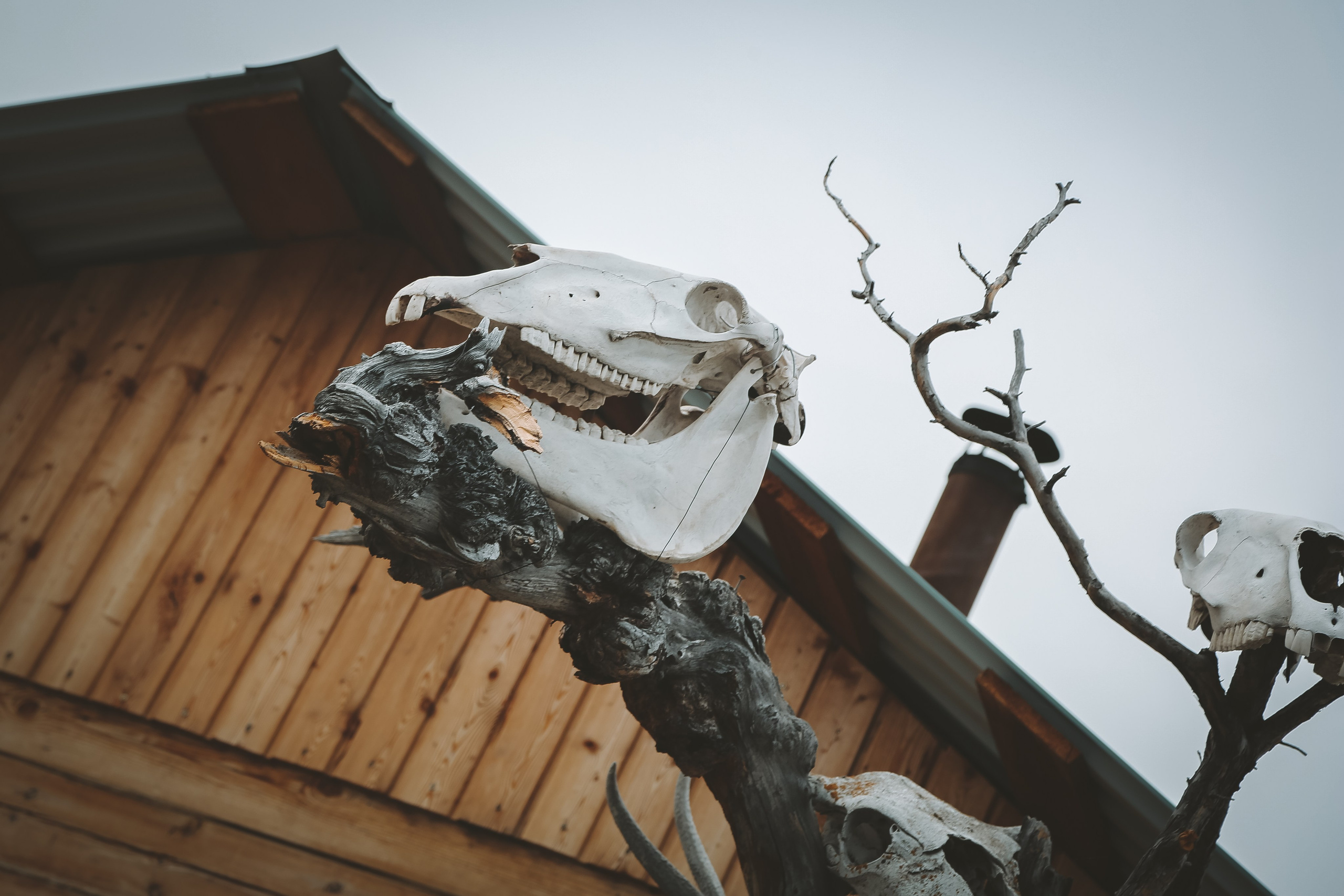 Байкал летний: легенды и святыни. Дарья Письменюк / Darya Leitstern — фотограф, музыкант, журналист, путешественник