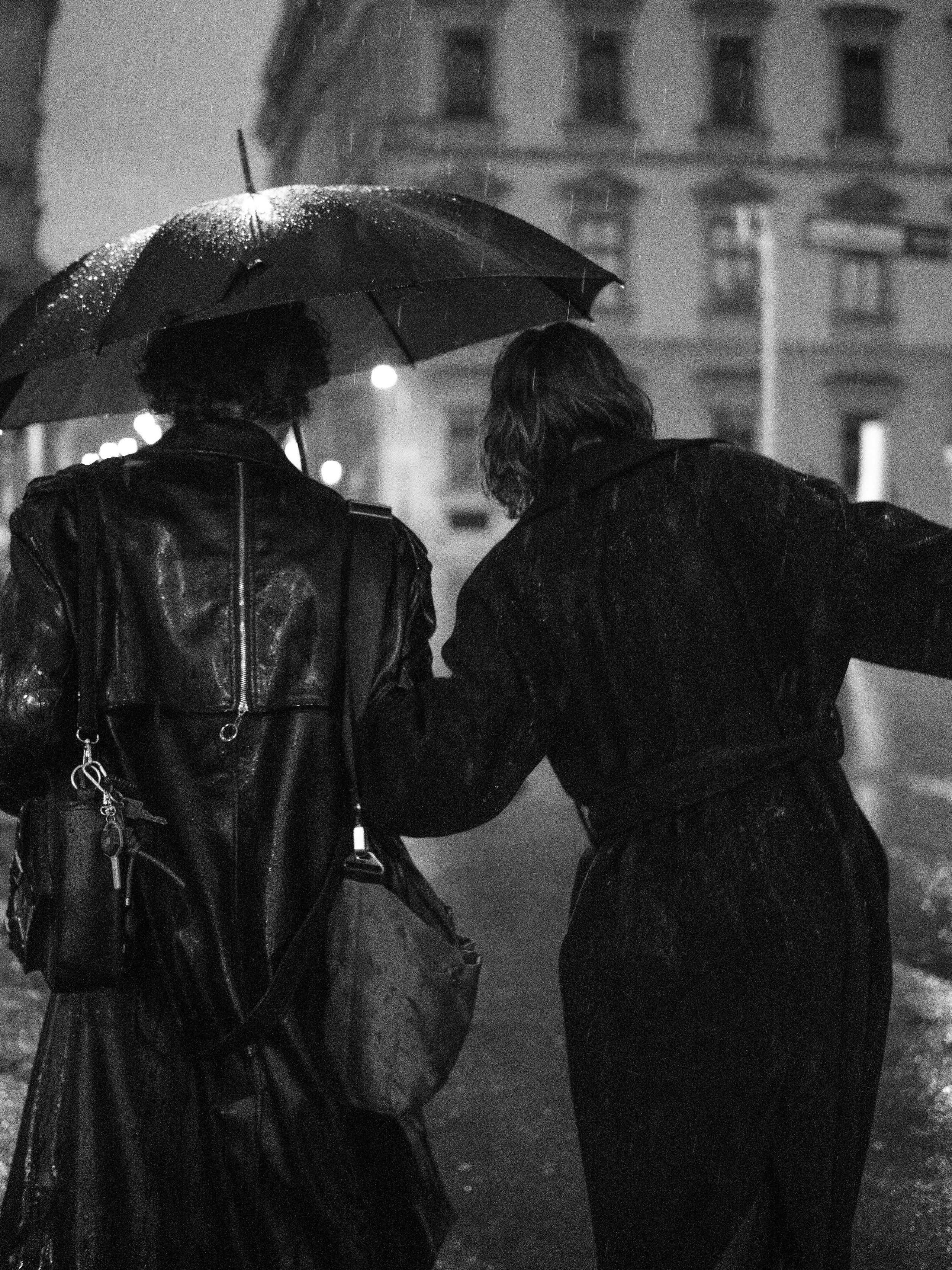 In the night. Frojul