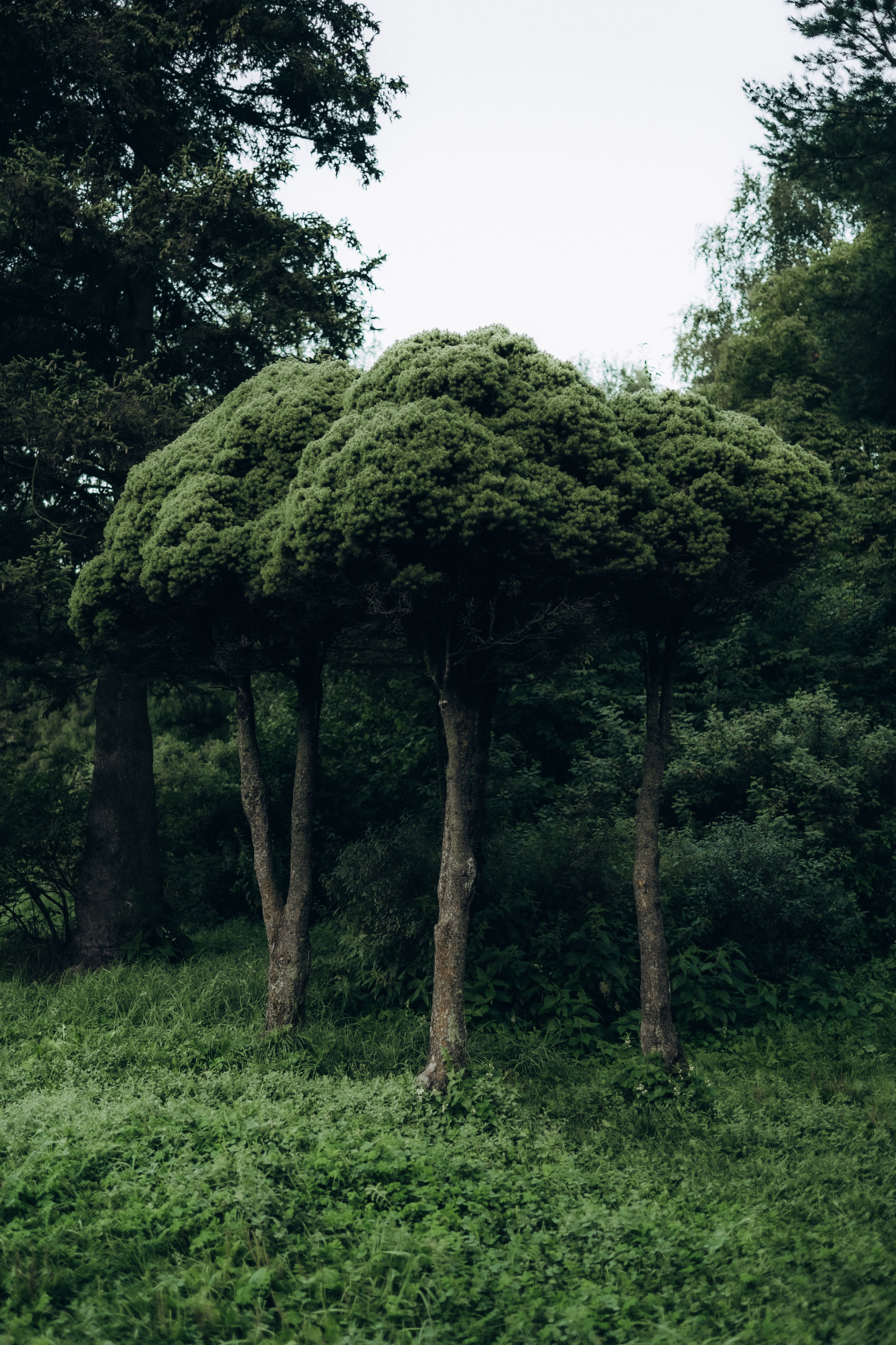 На рассвете. Фотограф в Москве Ольга Елоева