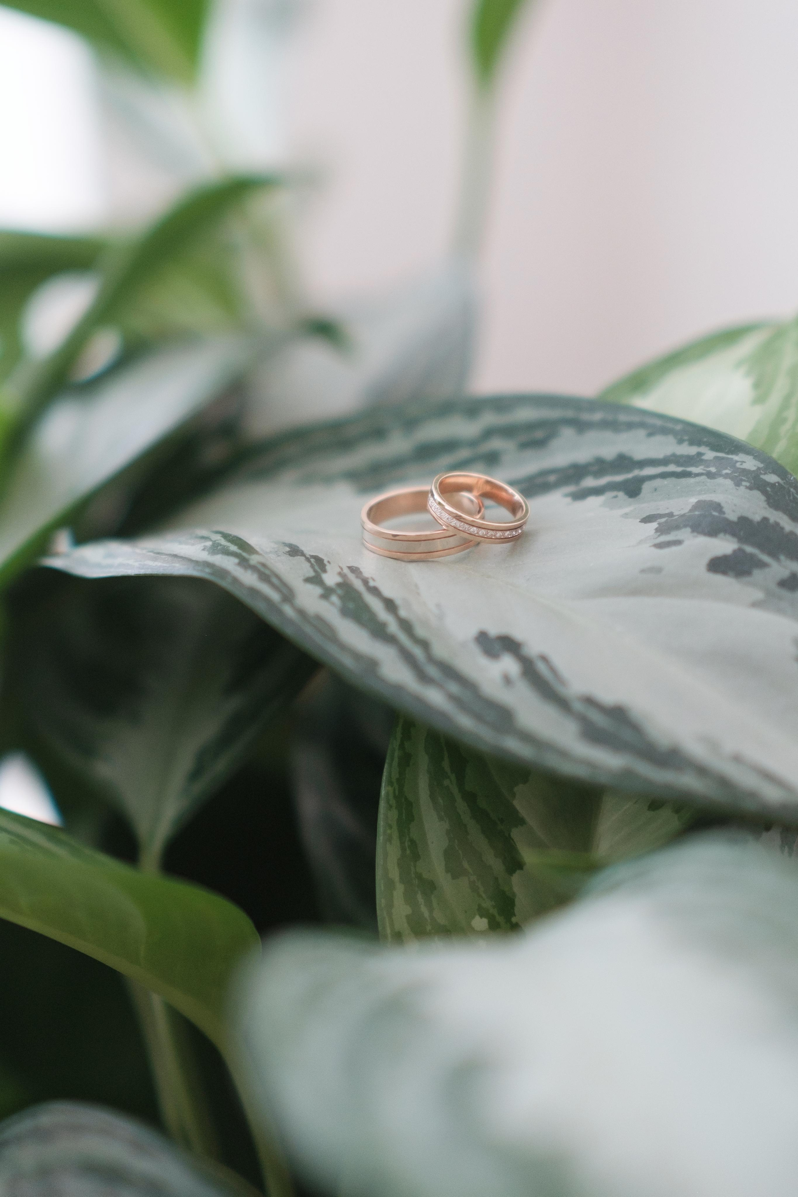 Свадебные фото. Фотограф Александр Чешуин