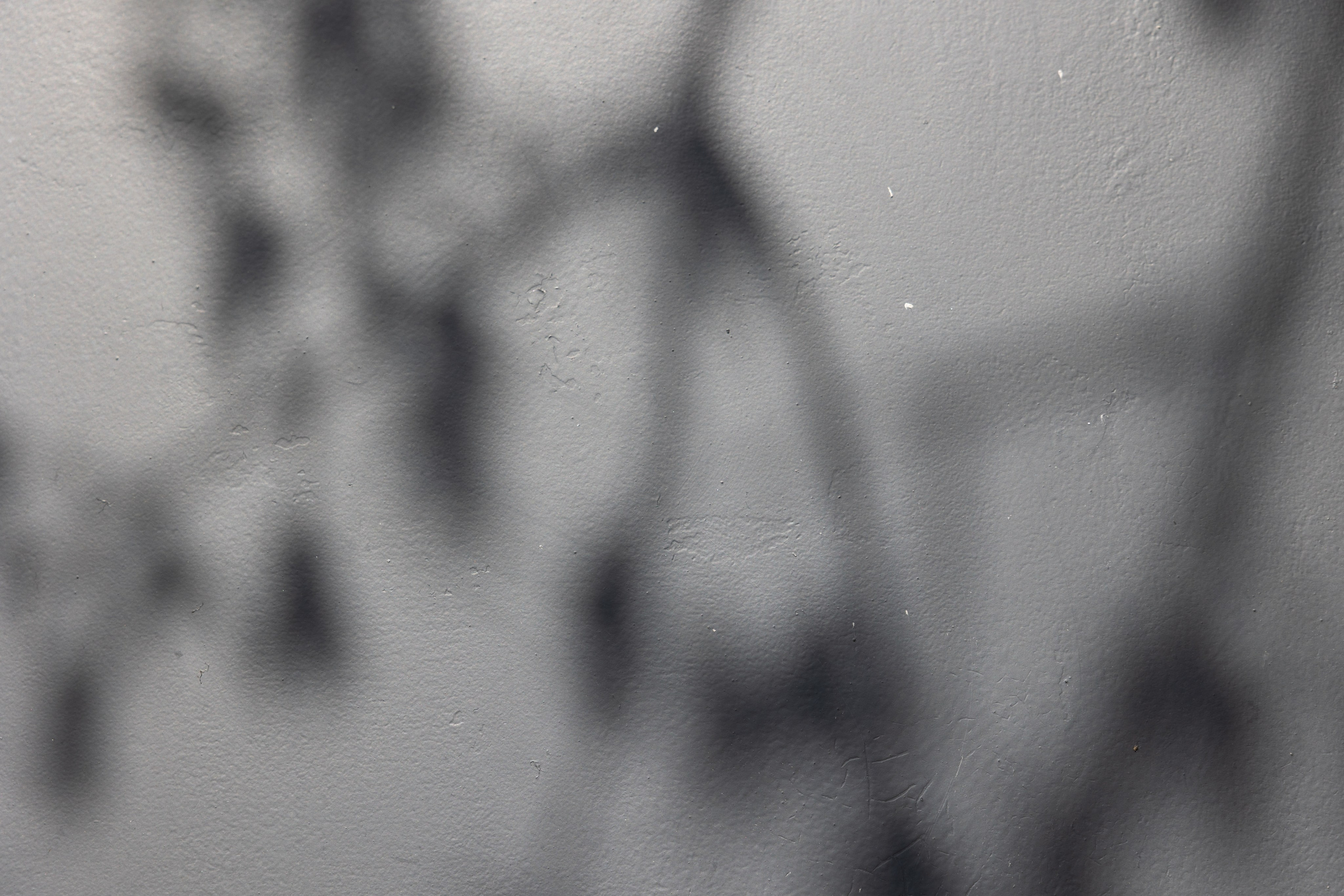 Art prints. Фотограф алина стерхова, алина стерхова фотограф, фотограф москва