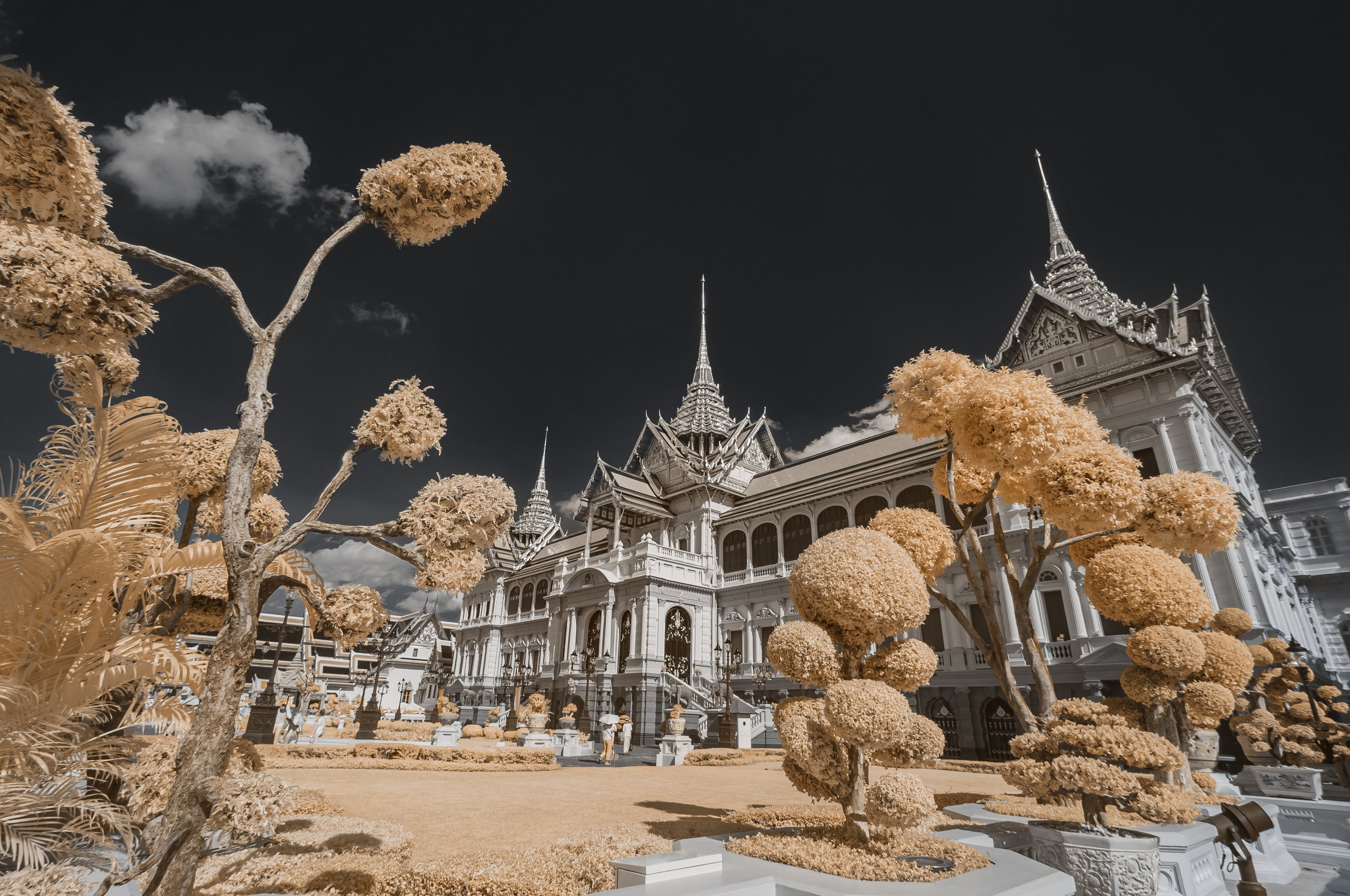 Инфракрасная фотография. Портретный, репортажный и свадебный фотограф в Екатеринбурге Денис Южаков