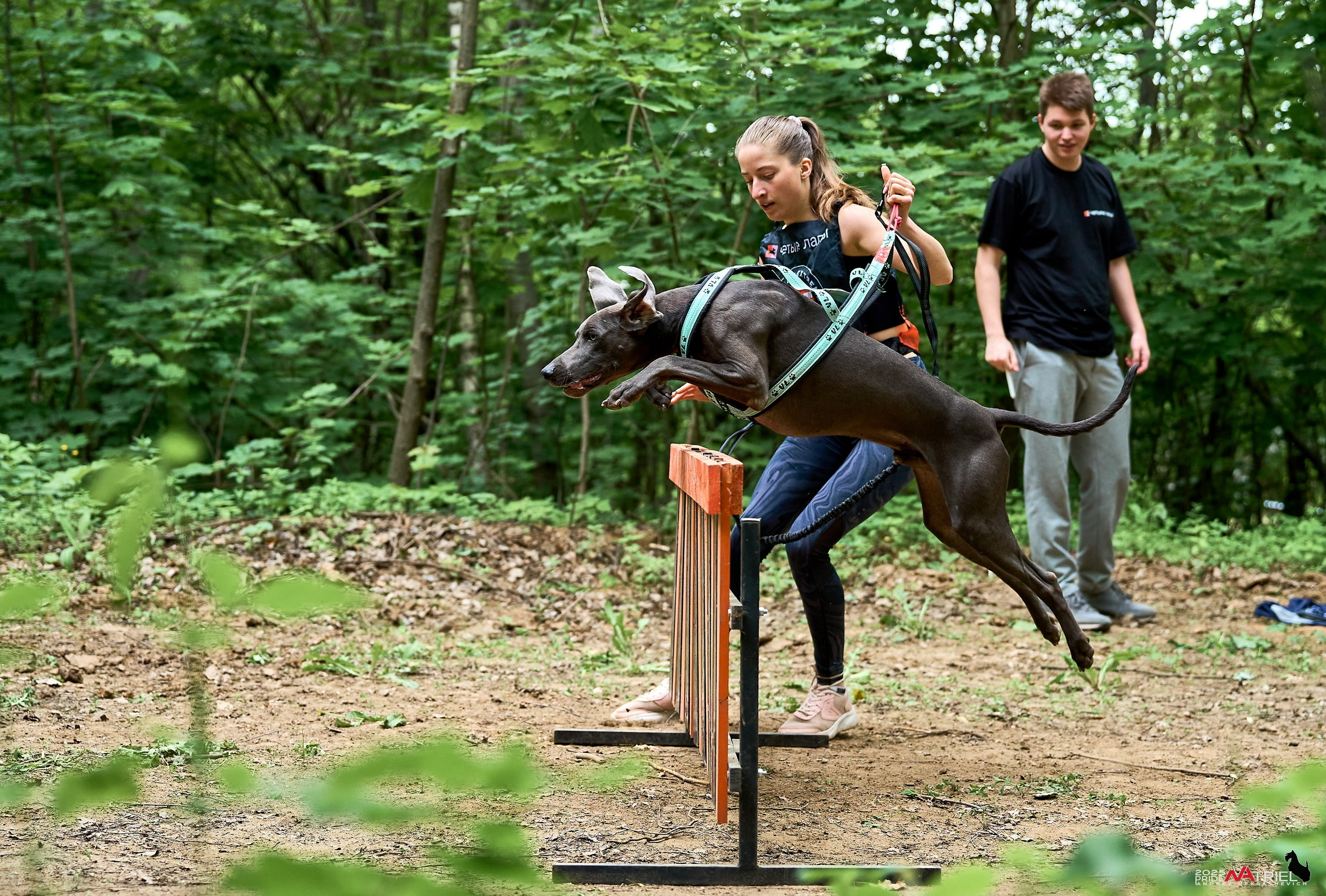 Russian Extreme Dog Trail — 2025