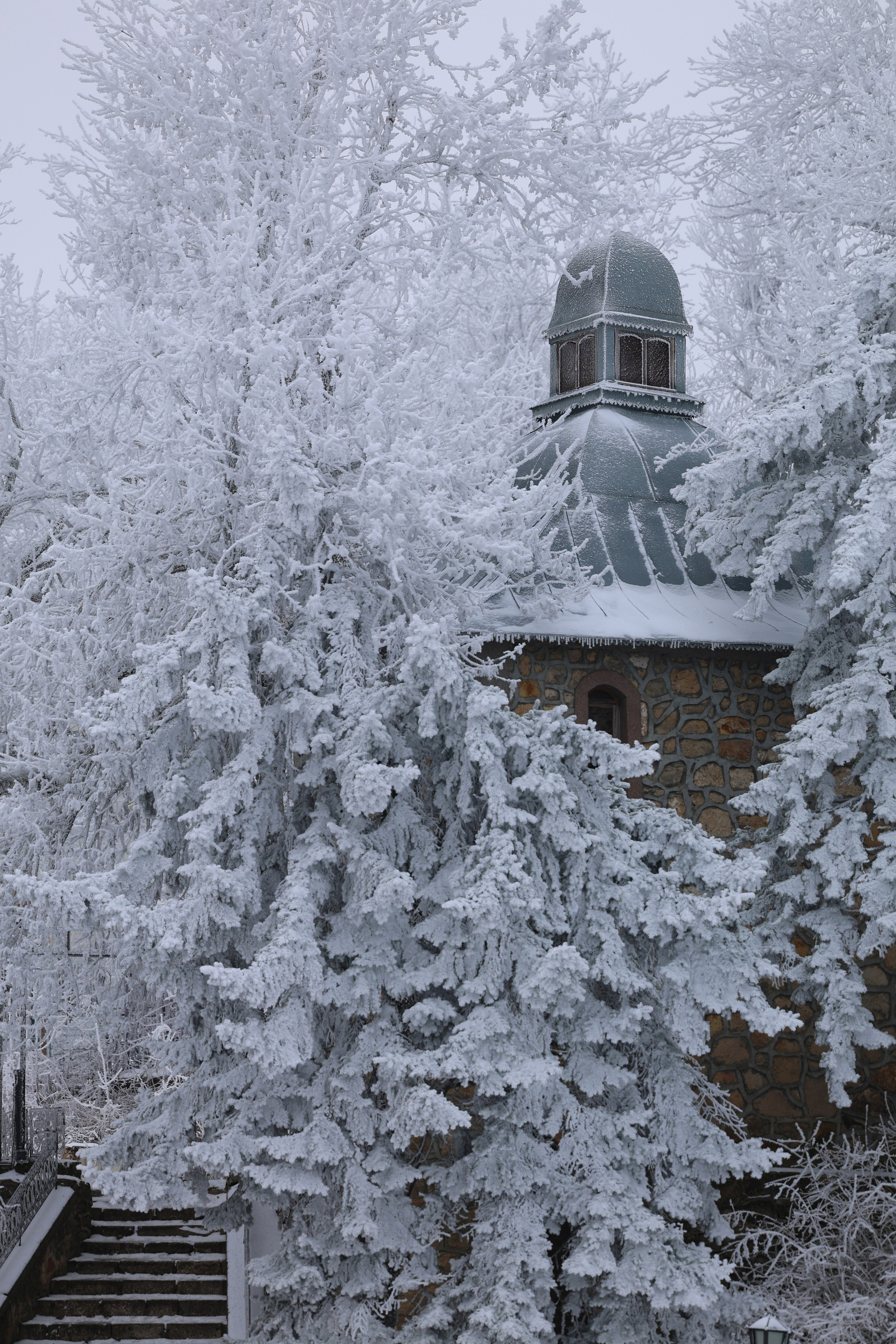Фотограф Мария Алексеева. Мария Алексеева. Фотограф в Москве