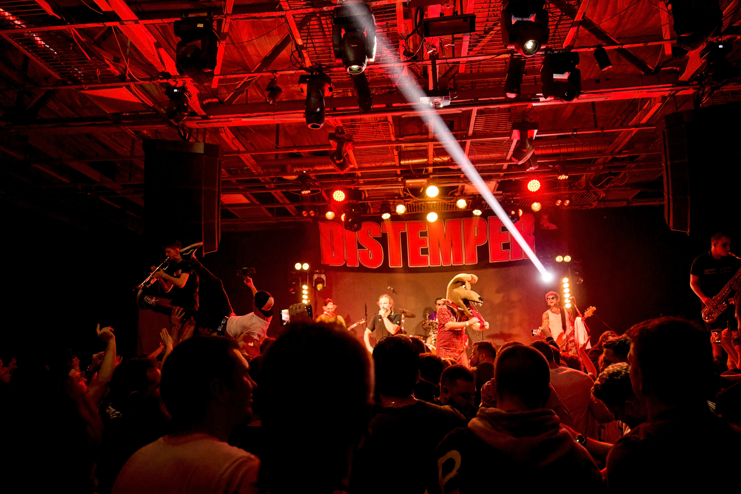 DISTEMPER / AGLOMERAT / 24.11.2023. Ekhovanov | фото- видеосъемка