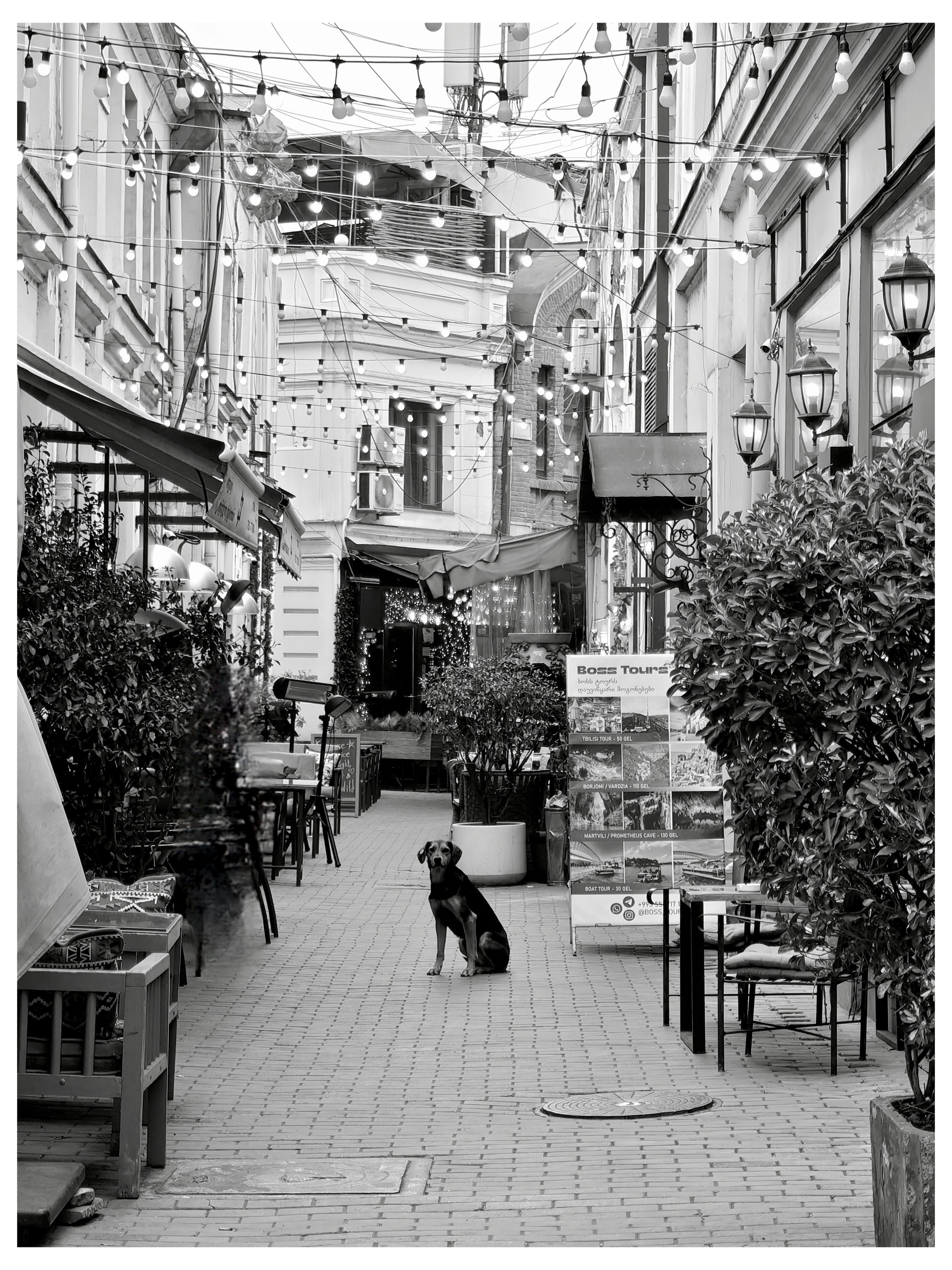 STREET FOTO. Фотограф в Санкт-Петербурге Александр Грушко