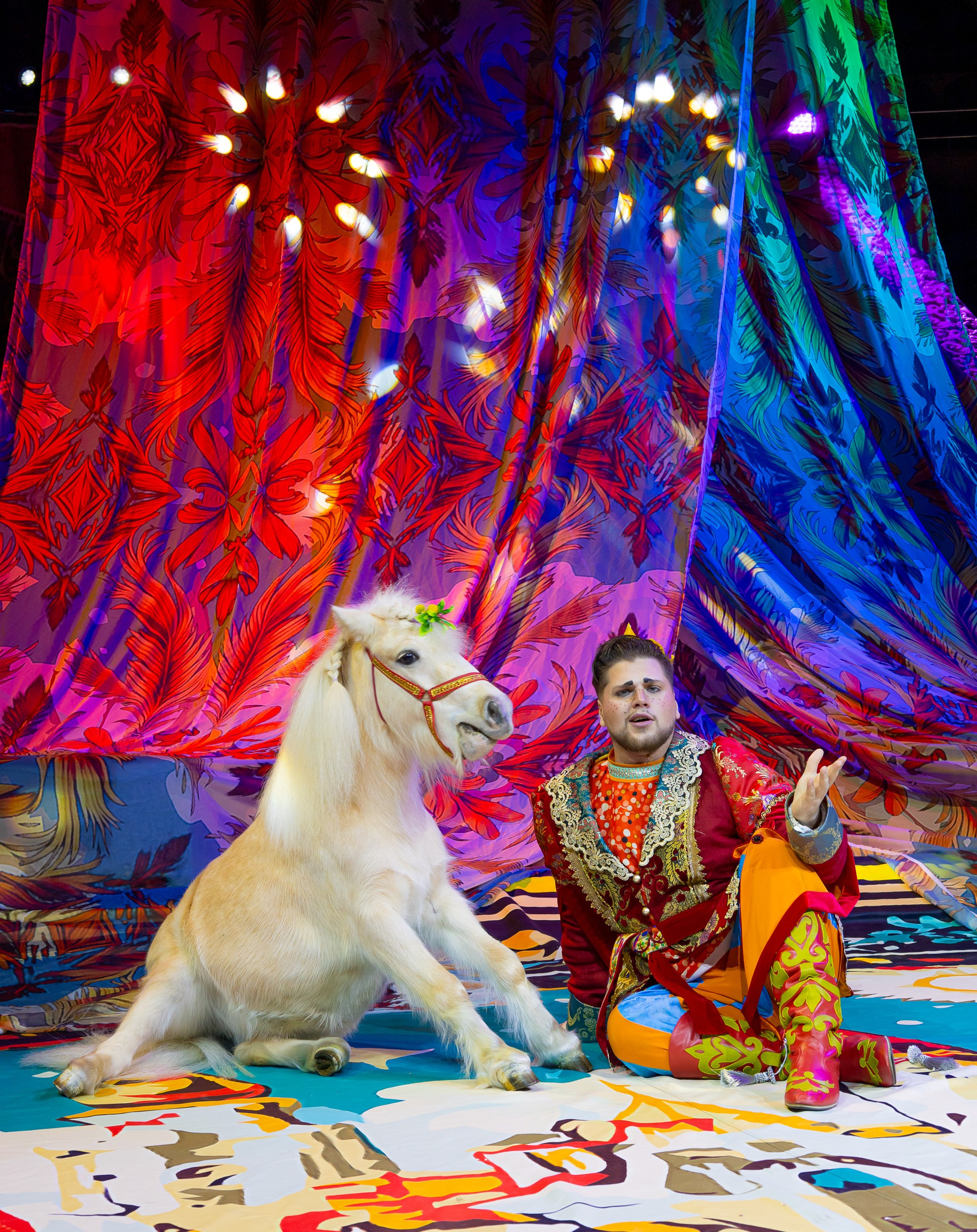 Цирк Жар Птица. Афиша. Семейный и Свадебный фотограф в Сочи