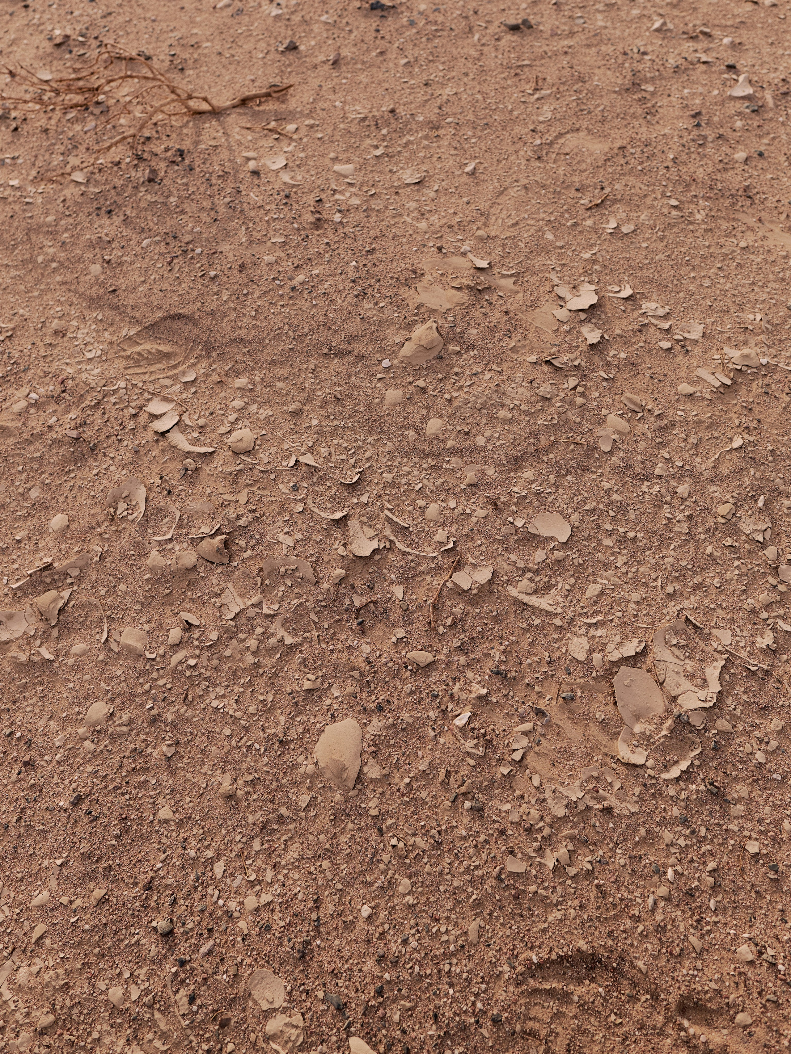 Другое 3. Jorgis Talè — photographer, kind person, teacher of arts and other mag