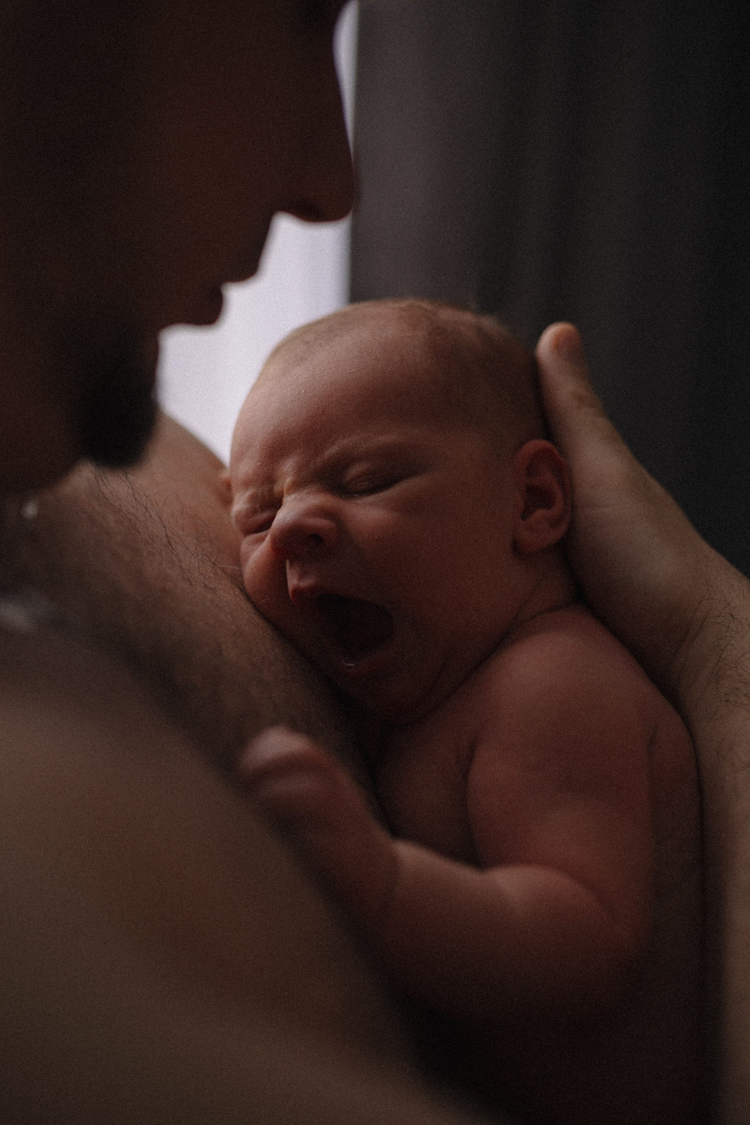 Лев. Семейный фотограф в Москве и Люберцах Юлия Гуськова