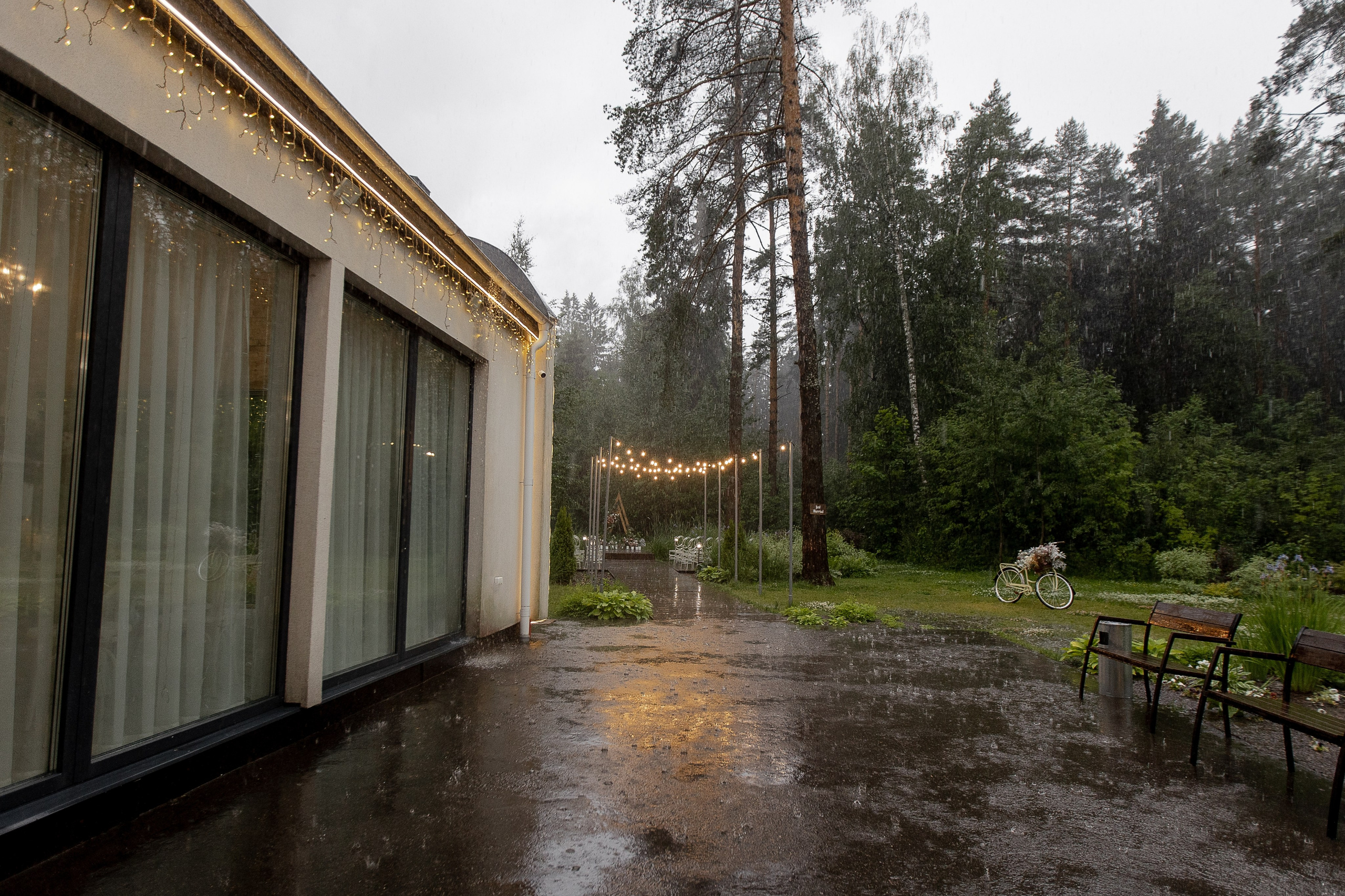 Один зонт, два сердца. Свадебный фотограф — Ефимов Сергей