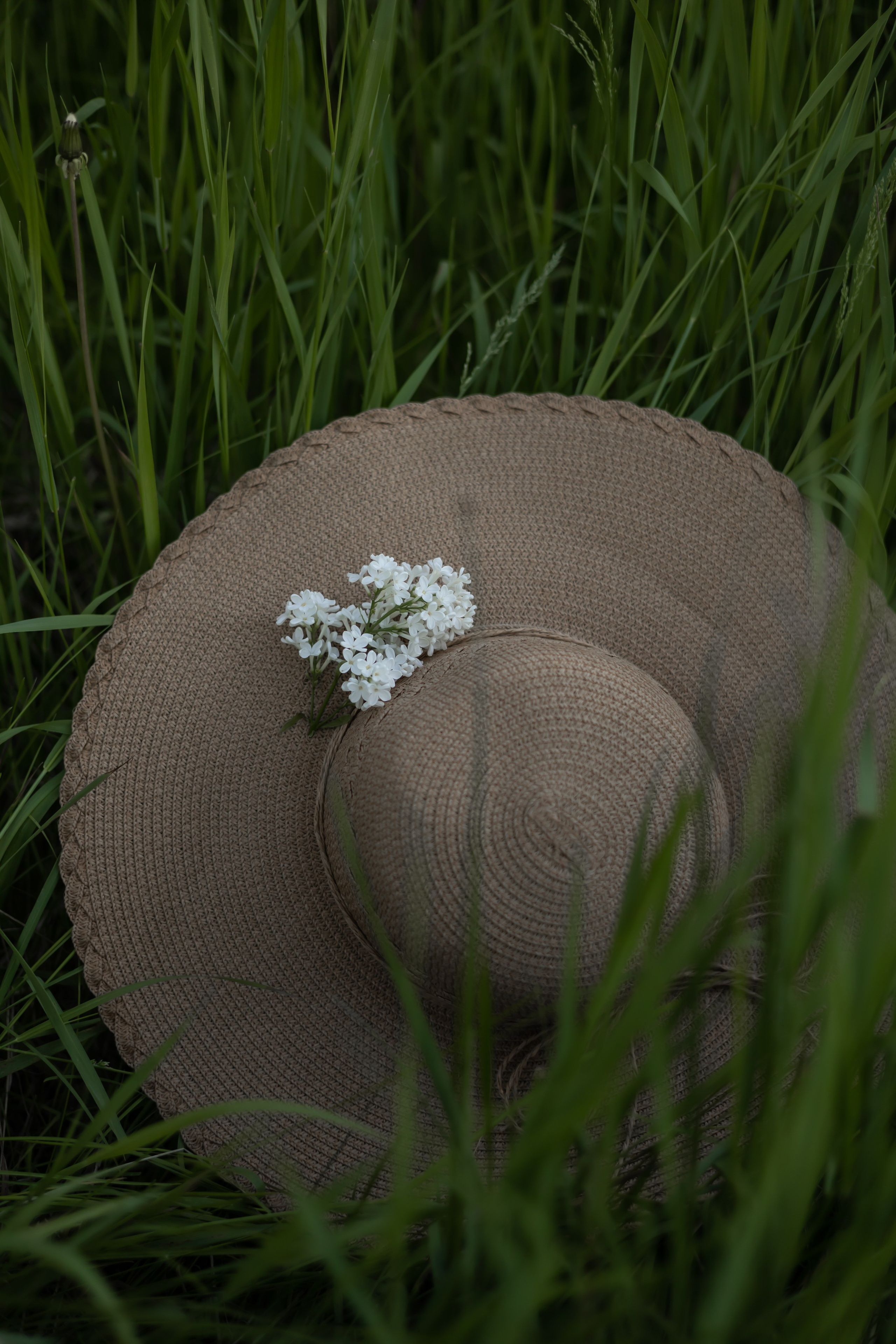 DINARA. Фотограф Элла Ефимова