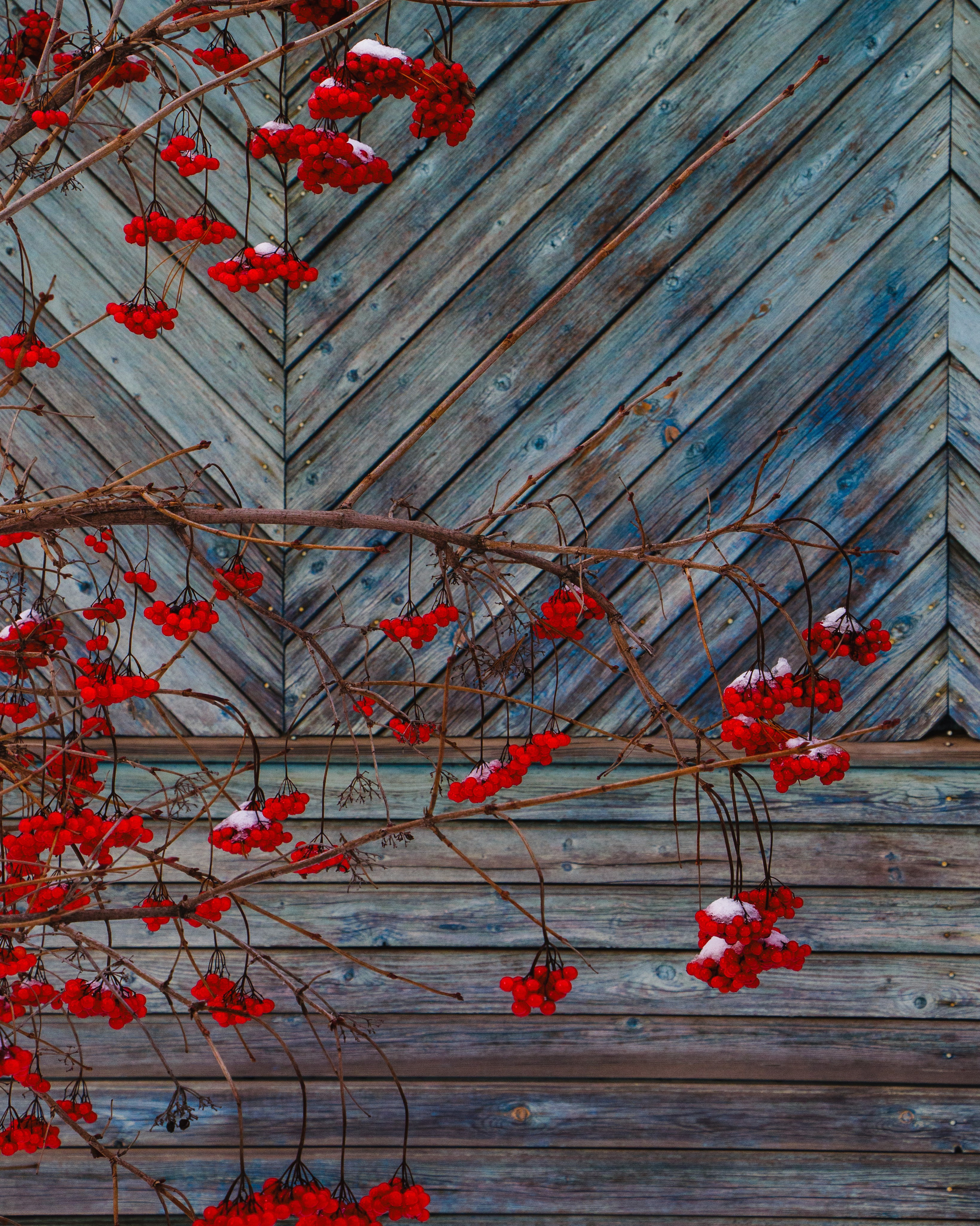 Родные узоры. Россия. Олег Романов. Мастер фото по спорту