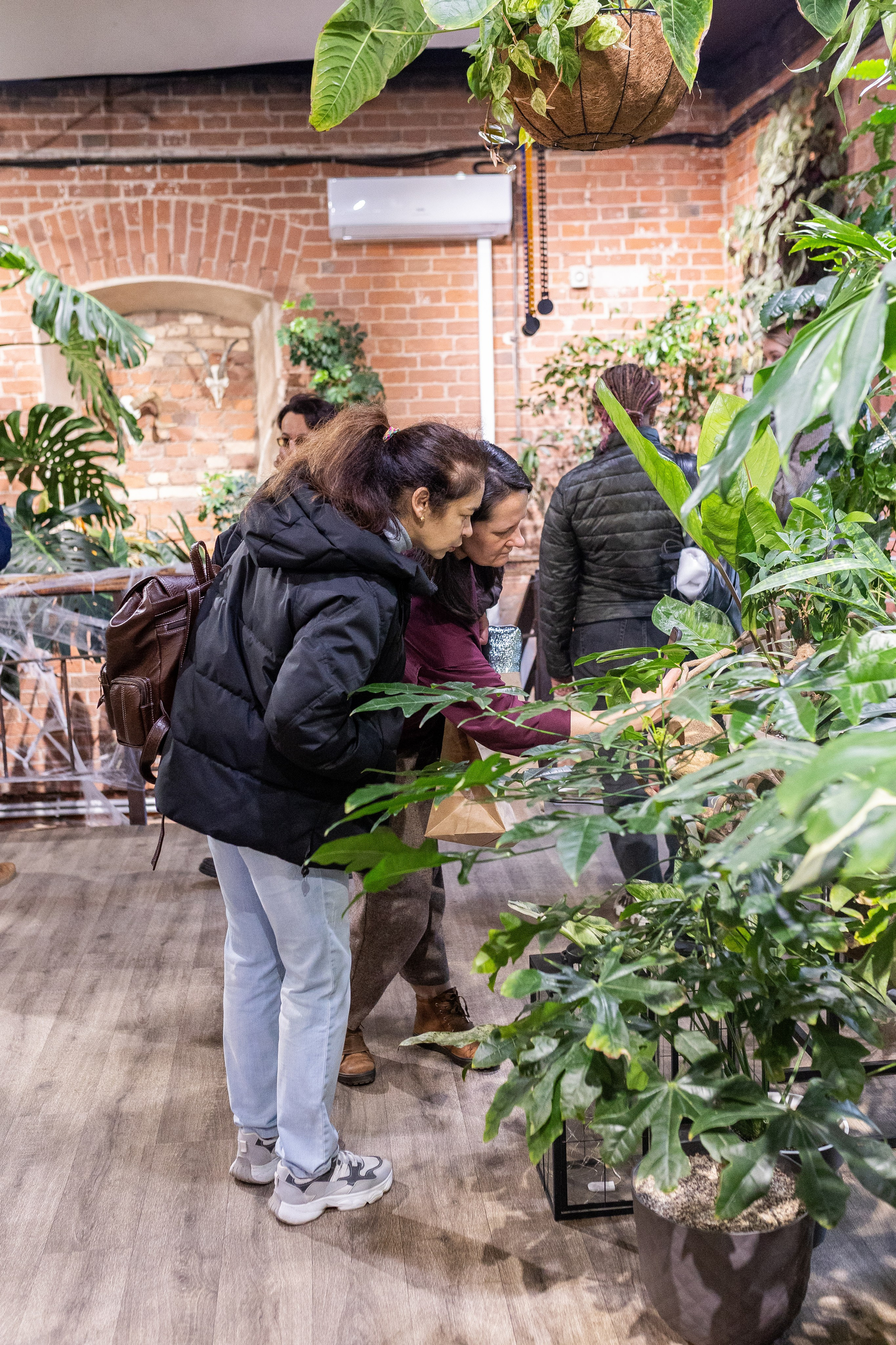 GreenRare ярмарка 2024. Александра Куликова фотограф, Москва