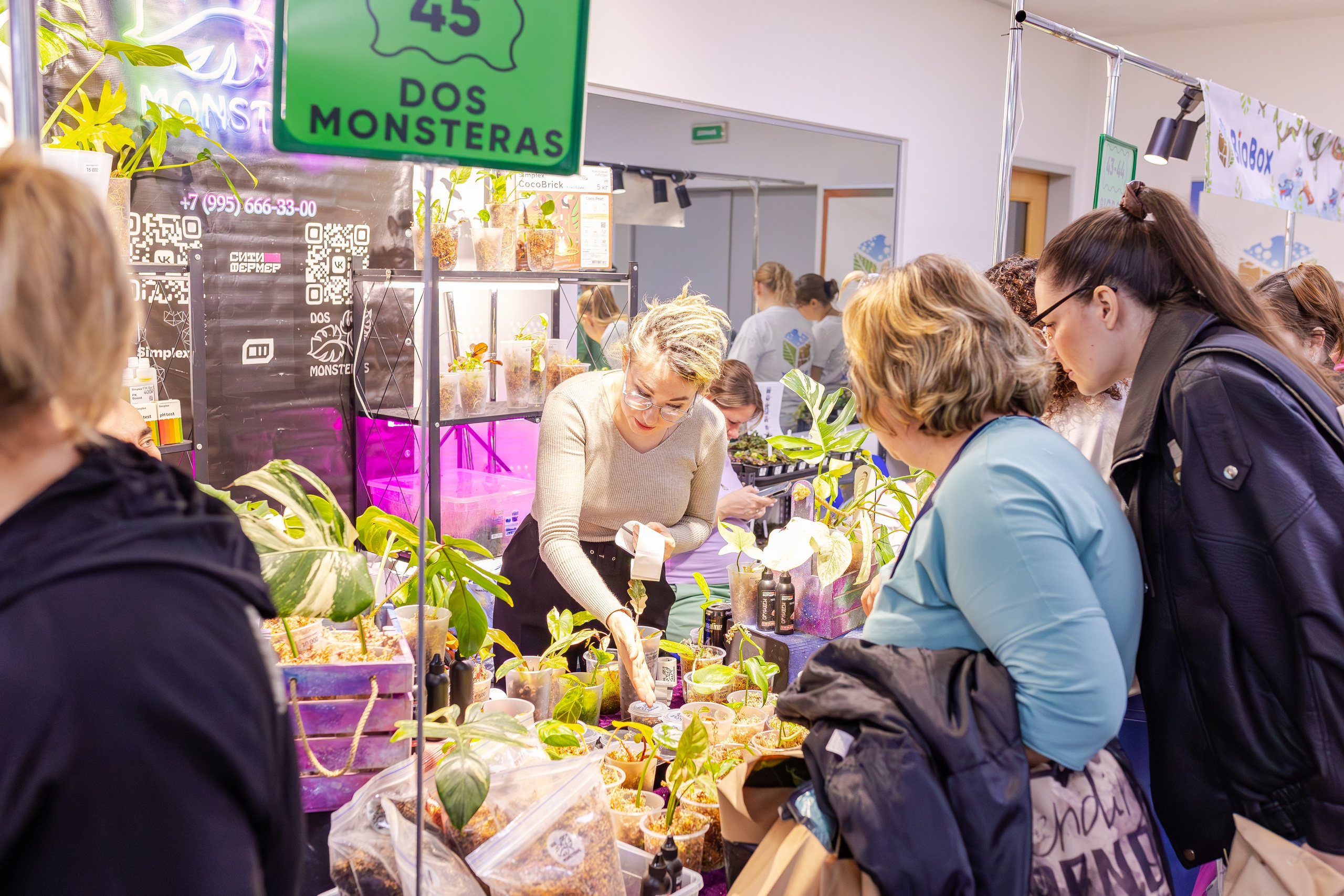 Орхидиум сентябрь 2025. Александра Куликова фотограф, Москва