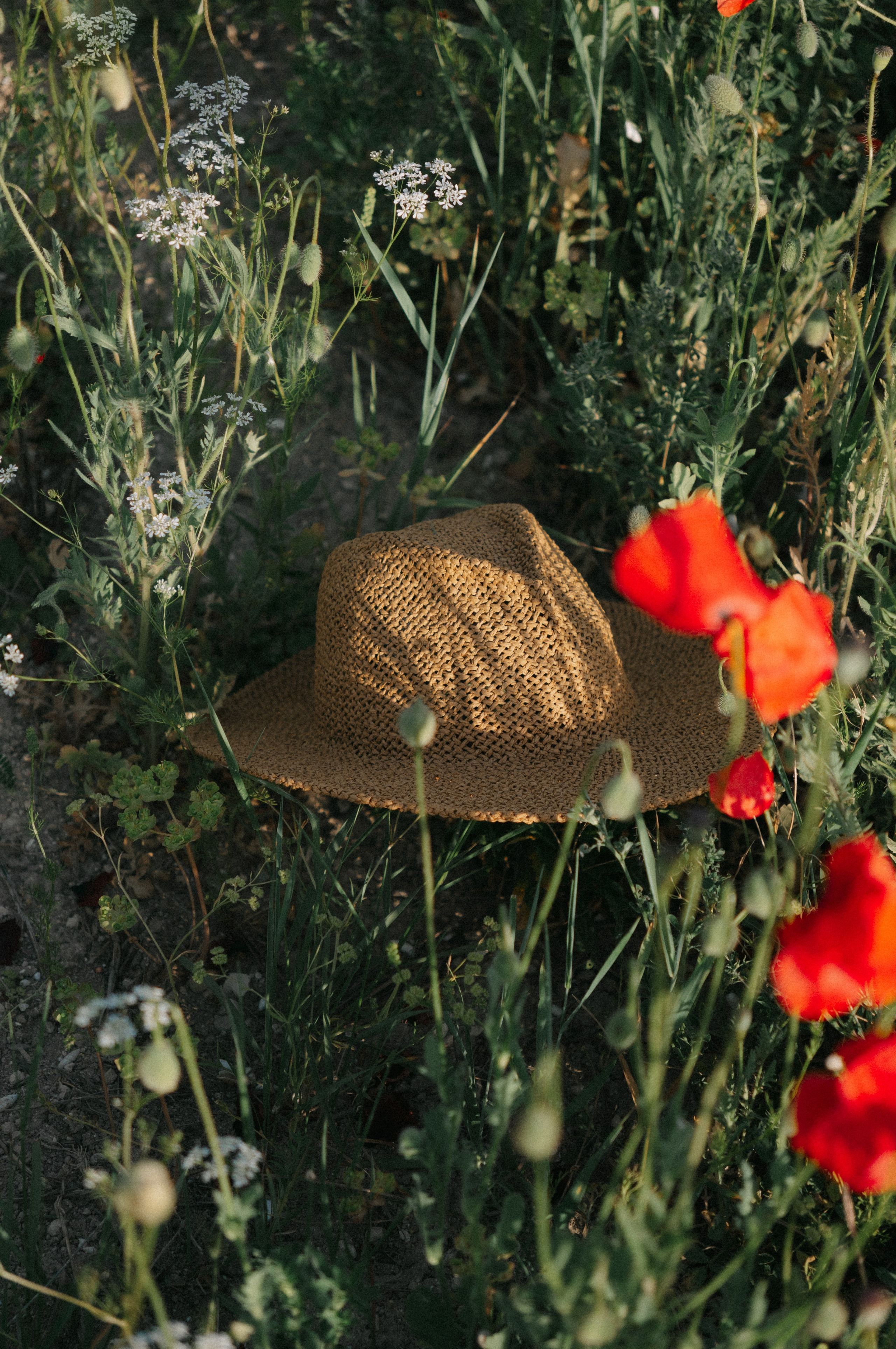 Тур за травами | маки. Обо мне