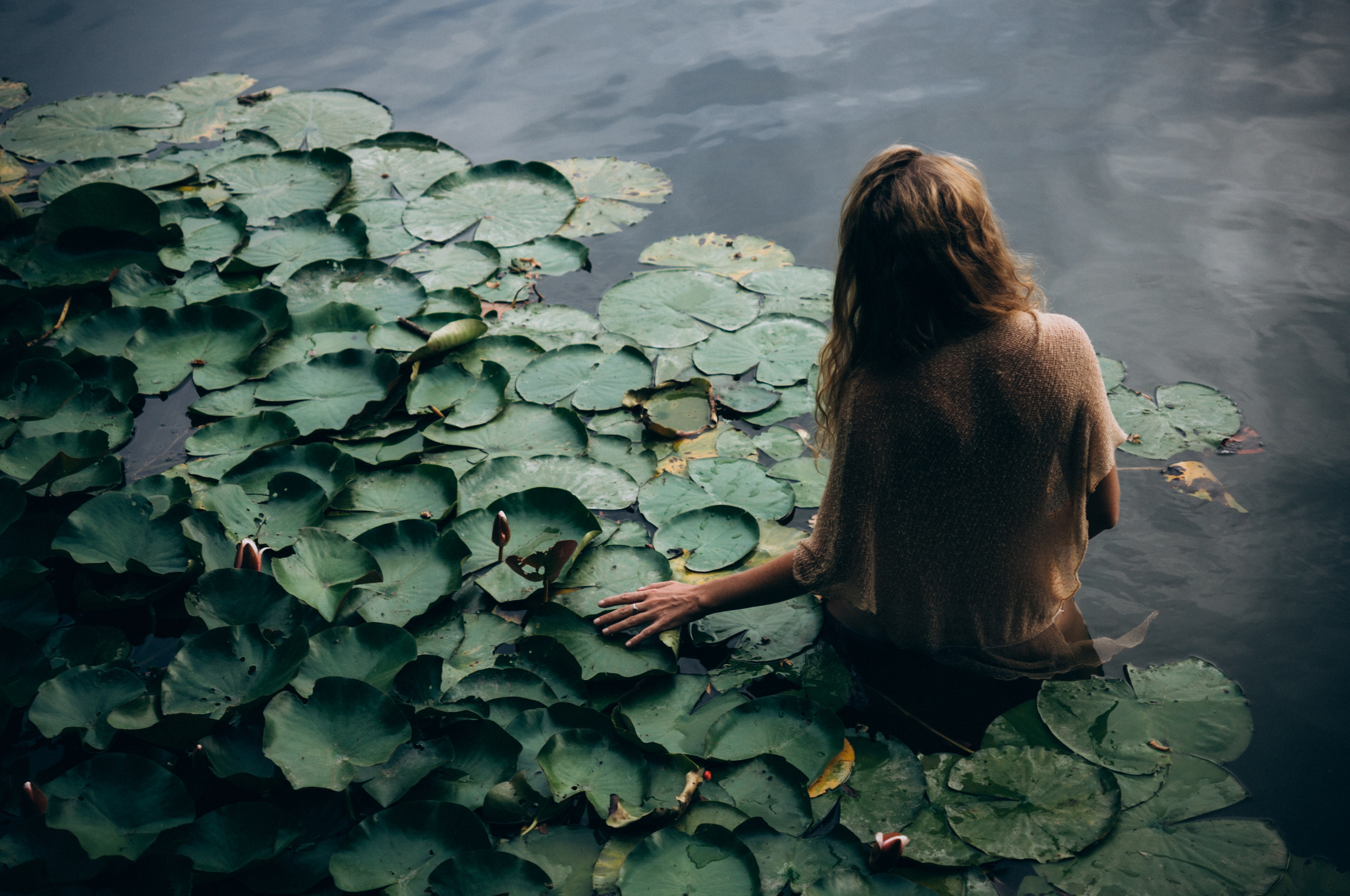 Софья | озеро с кувшинками. Обо мне