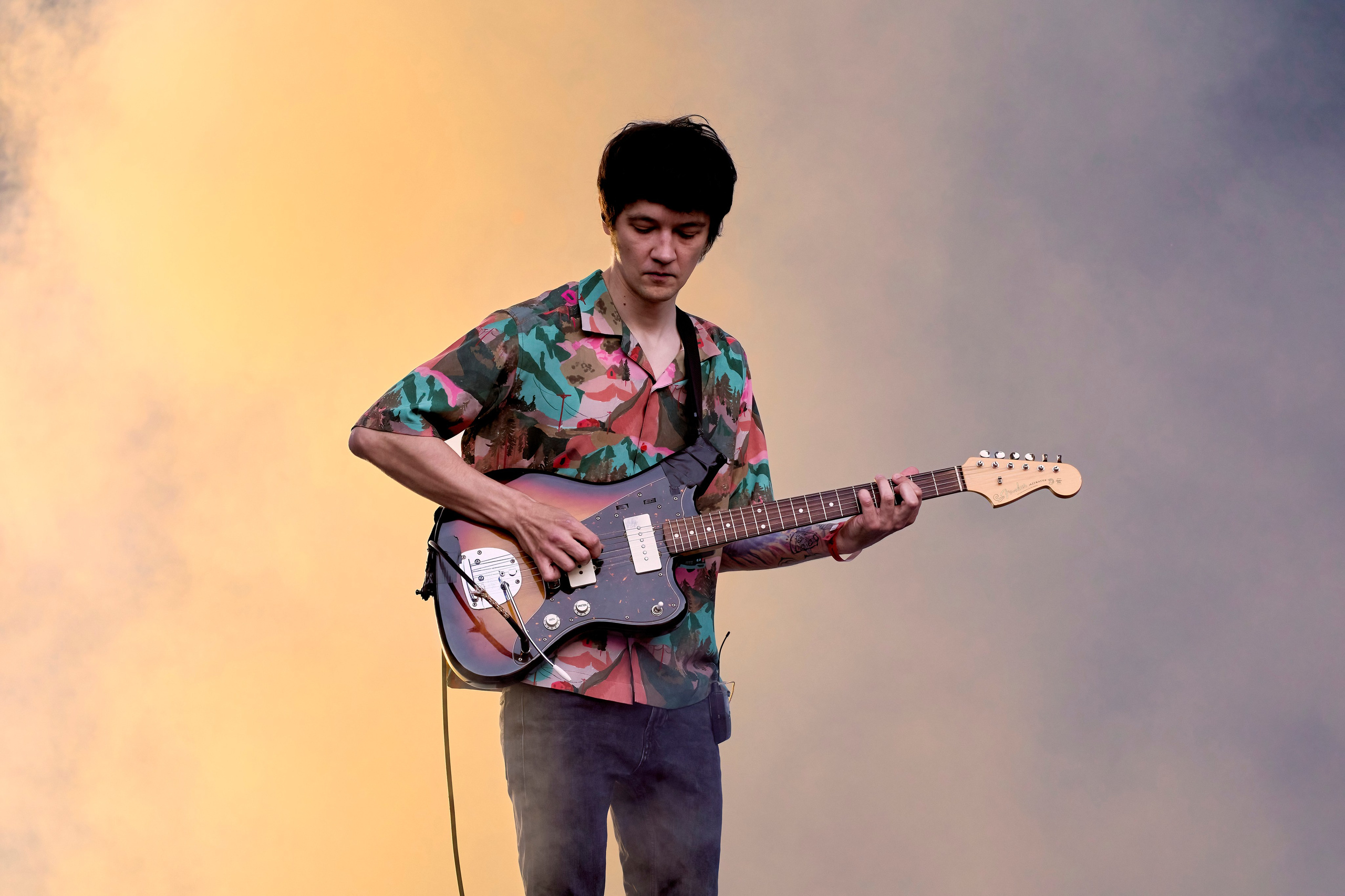 ДЕЛЬФИН / ЗЕЛЕНЫЙ ТЕАТР / 09.06.2024. Ekhovanov | фото- видеосъемка