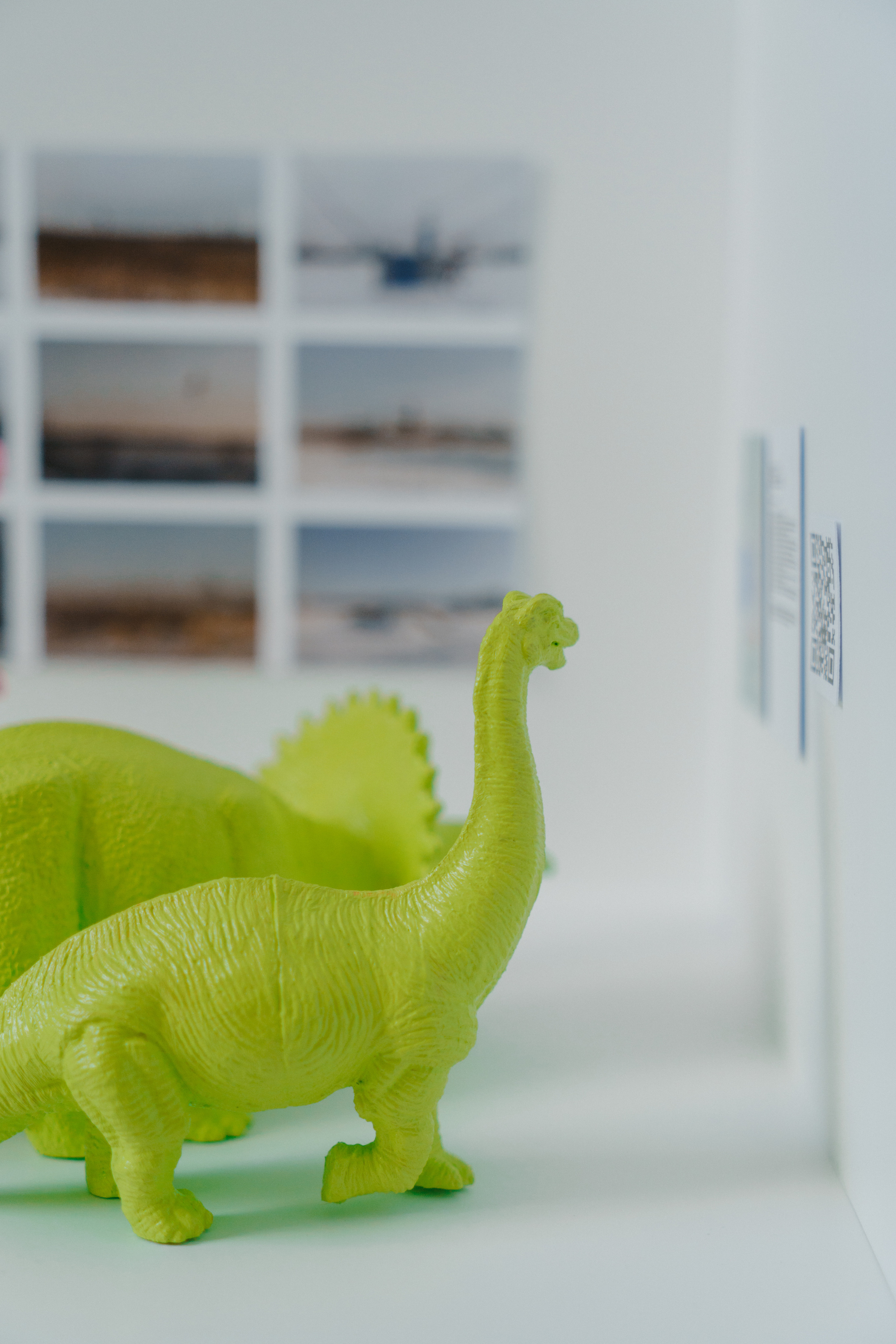 В кубе. Козлова Екатерина. Междисциплинарная визуальная художница