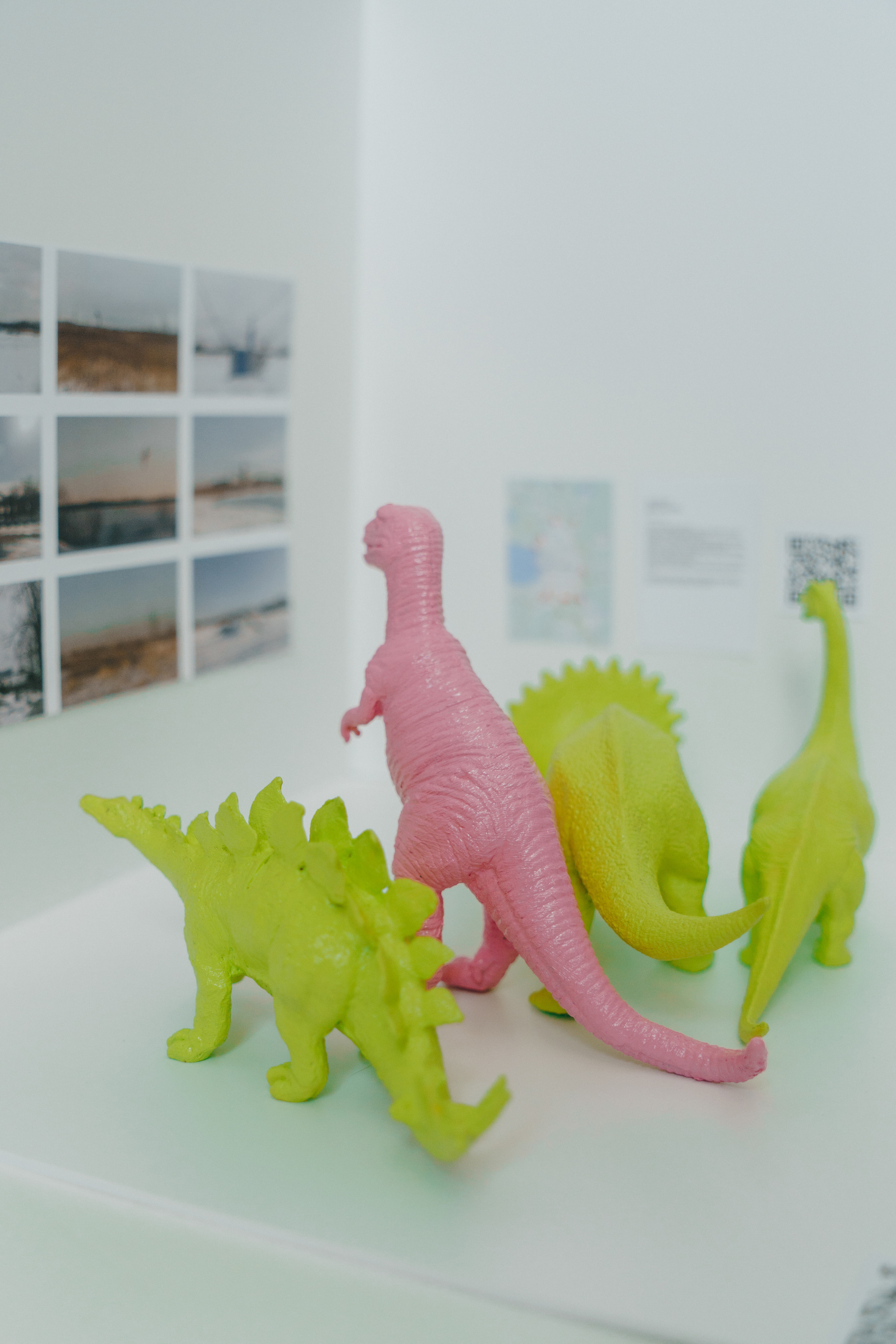 В кубе. Козлова Екатерина. Междисциплинарная визуальная художница