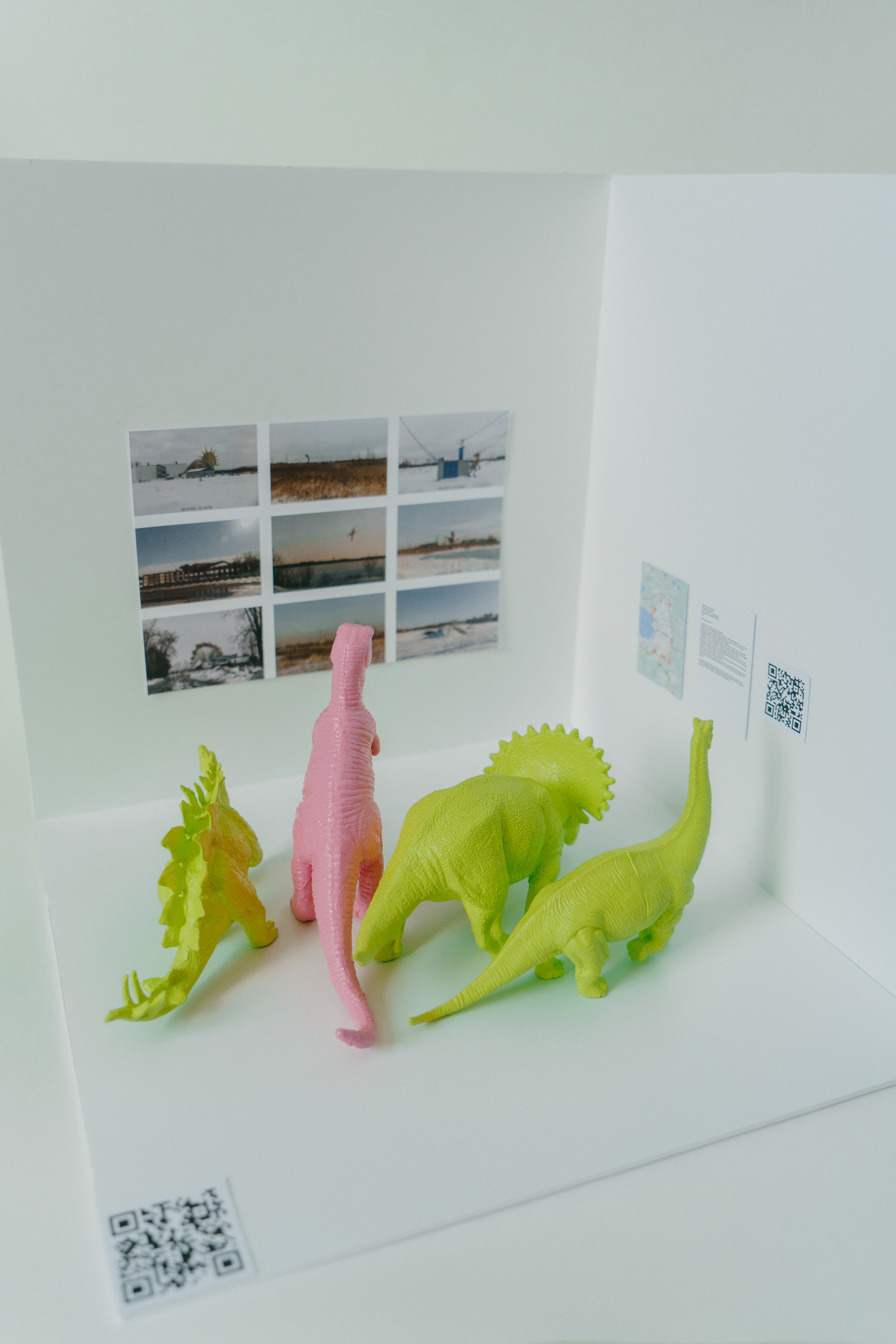 В кубе. Козлова Екатерина. Междисциплинарная визуальная художница