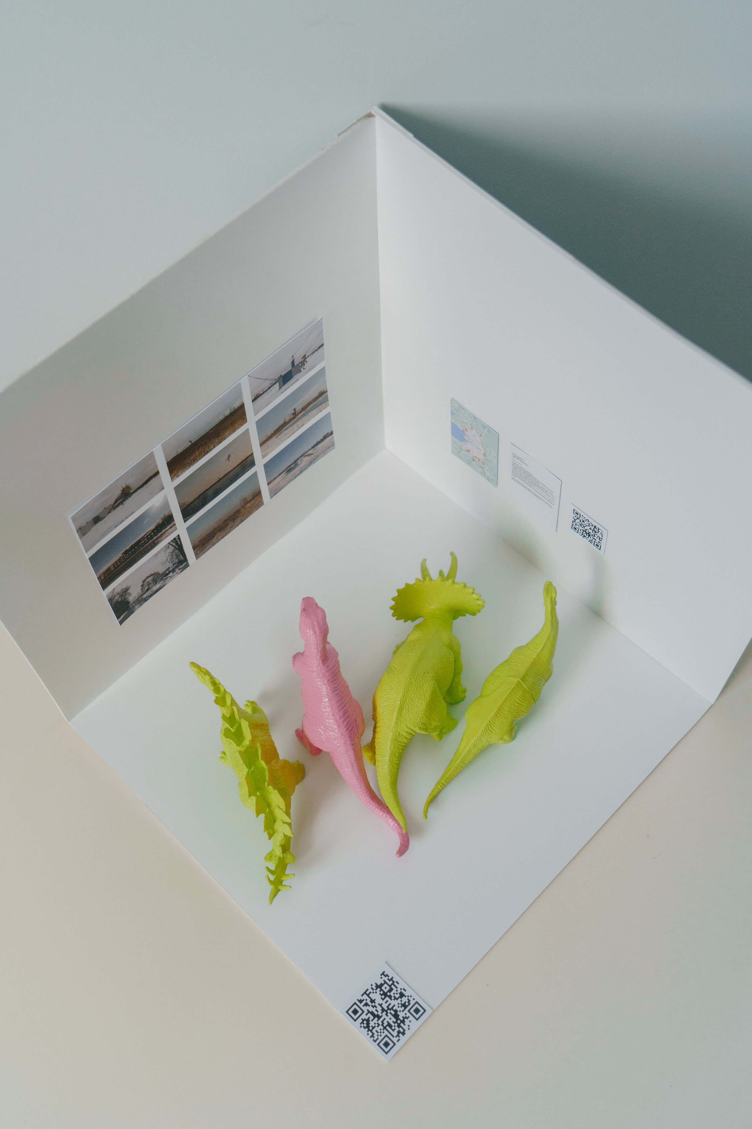 В кубе. Козлова Екатерина. Междисциплинарная визуальная художница